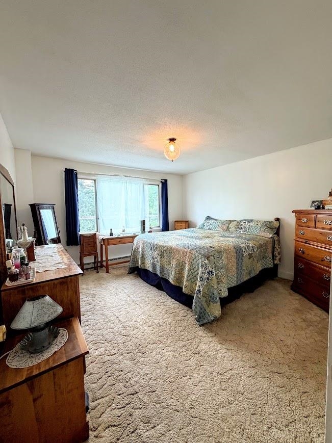 46 Donna Lane Property Photo 20