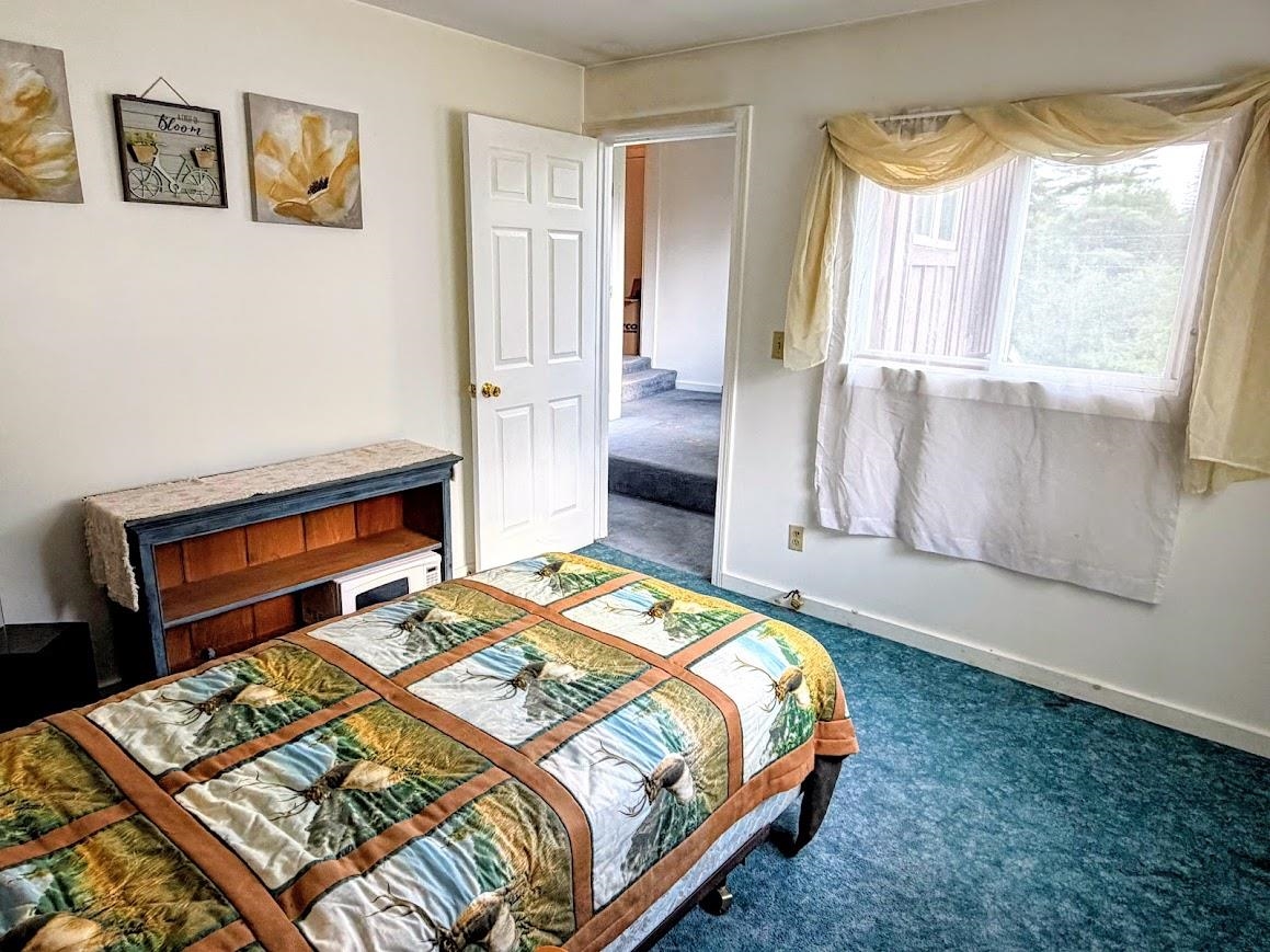 46 Donna Lane Property Photo 22