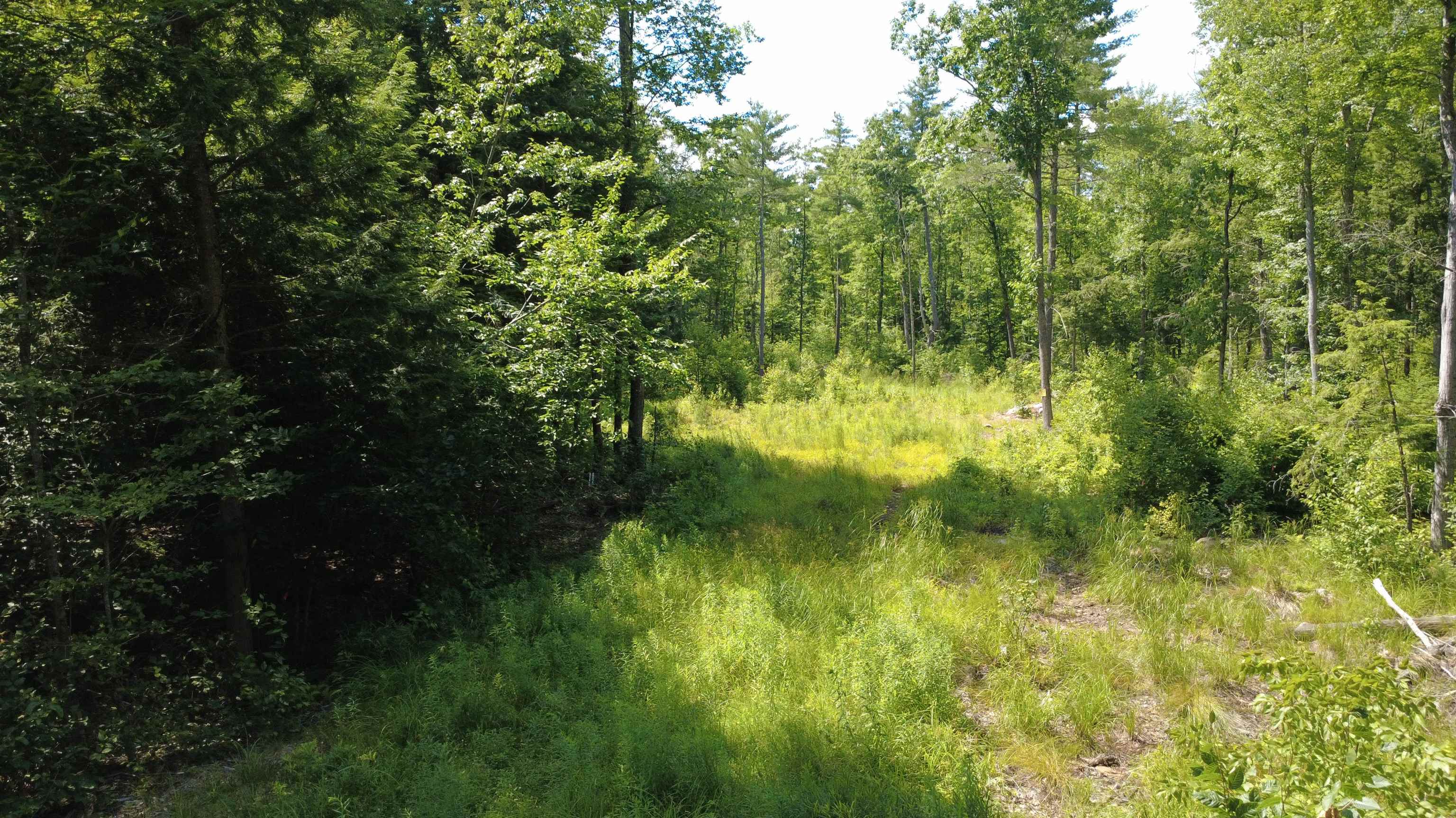00 Foxtrot Road Property Photo 2