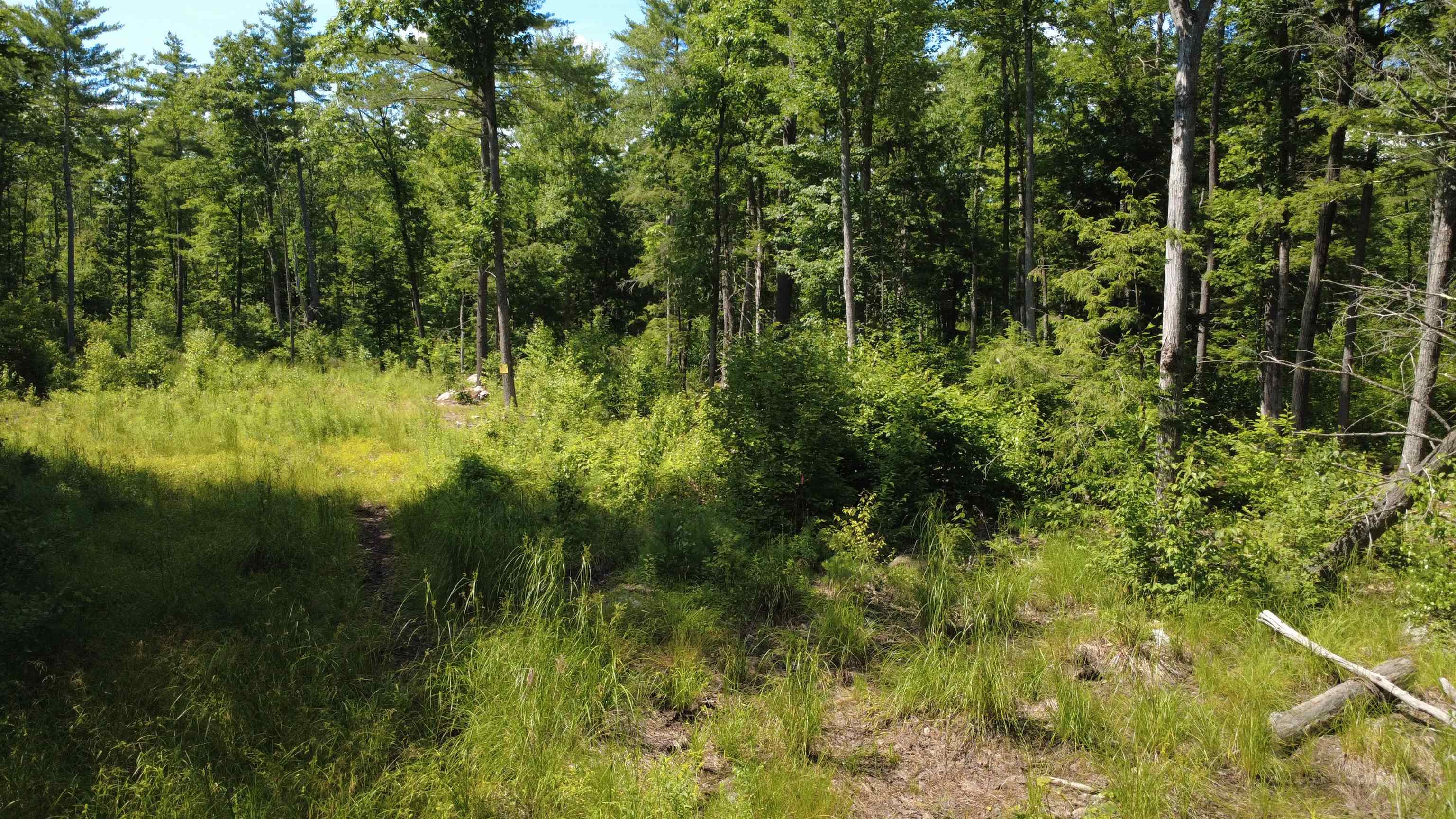00 Foxtrot Road Property Photo 4