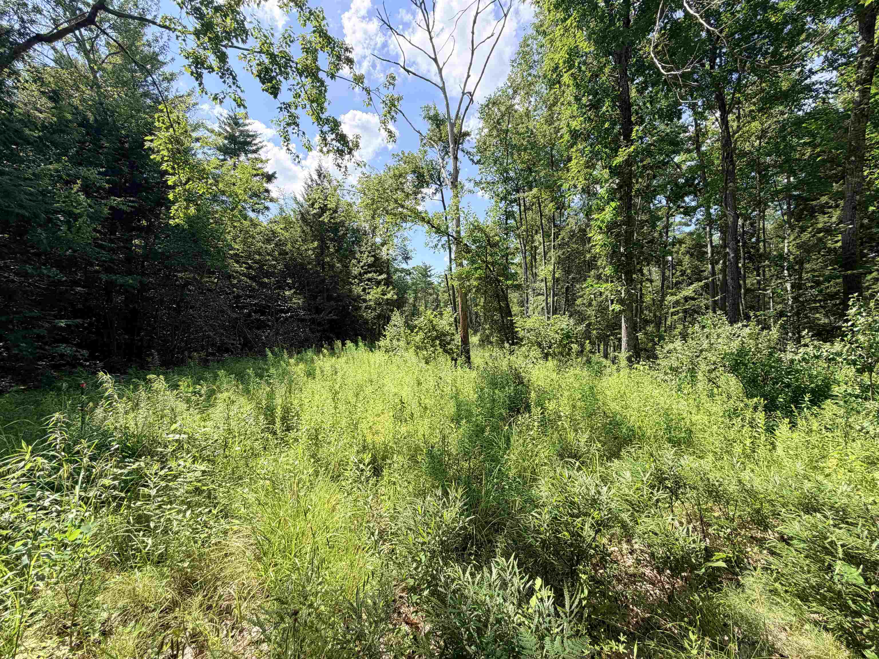 00 Foxtrot Road Property Photo 6