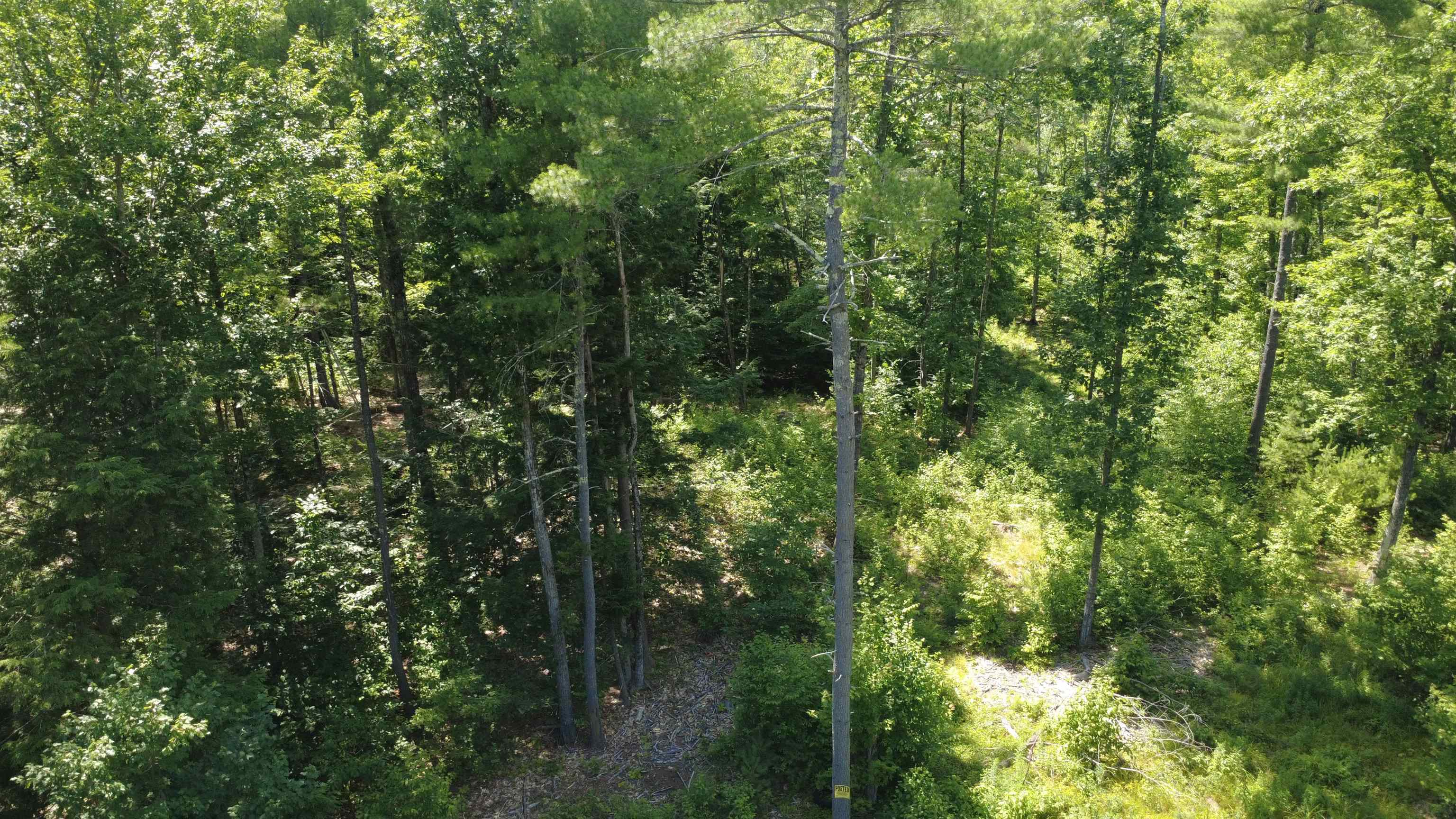 00 Foxtrot Road Property Photo 8