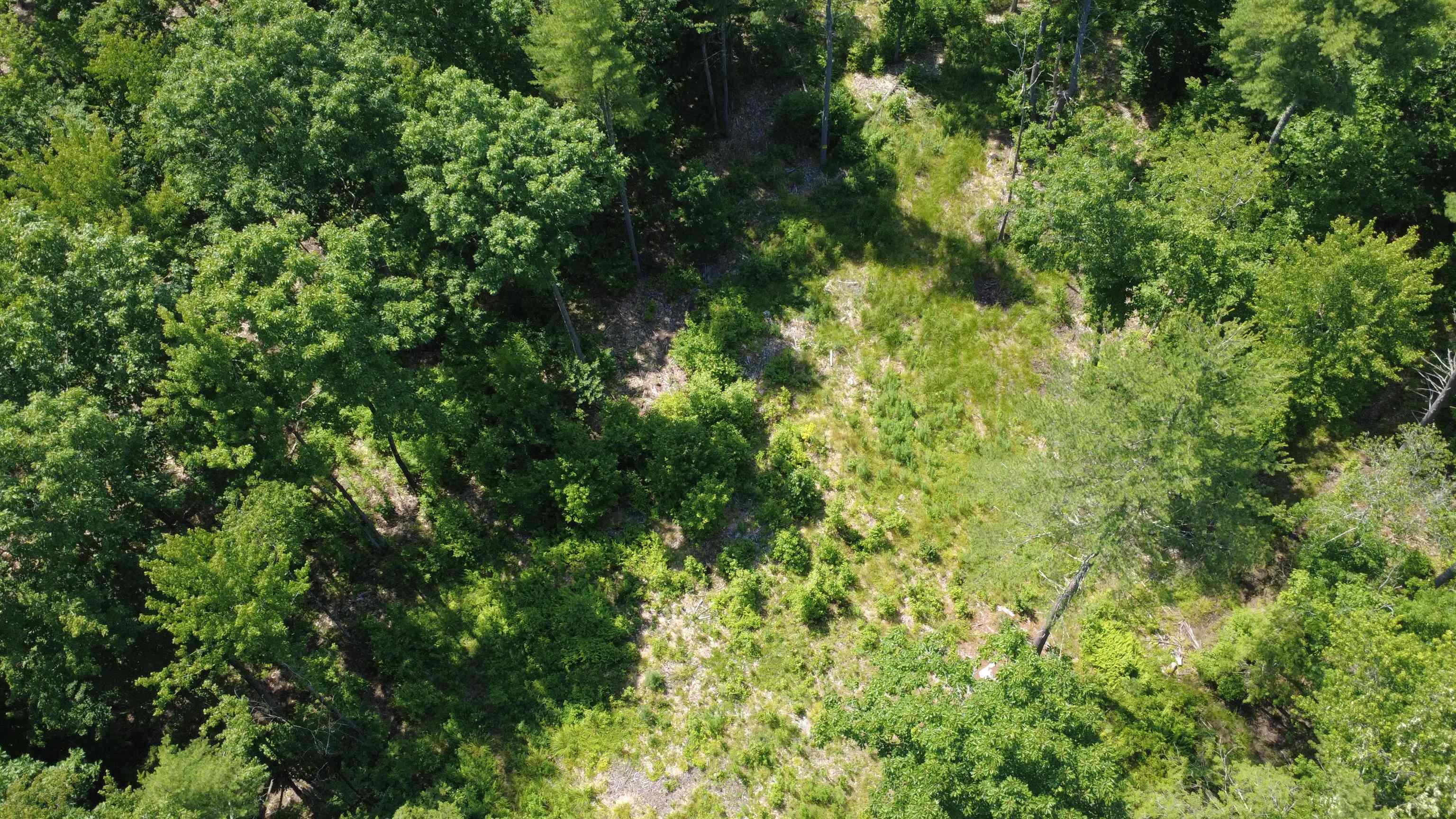 00 Foxtrot Road Property Photo 9