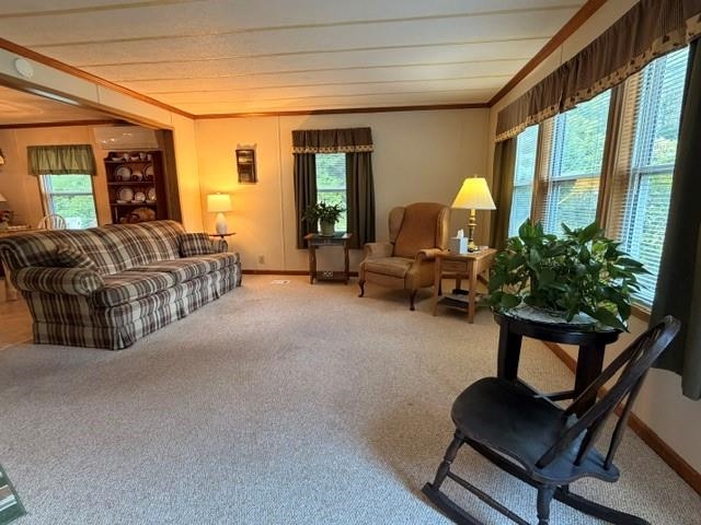 26 Deer Path Property Photo 45