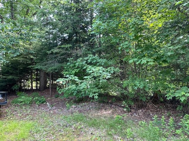 55 Hurlburt Avenue Property Photo 12