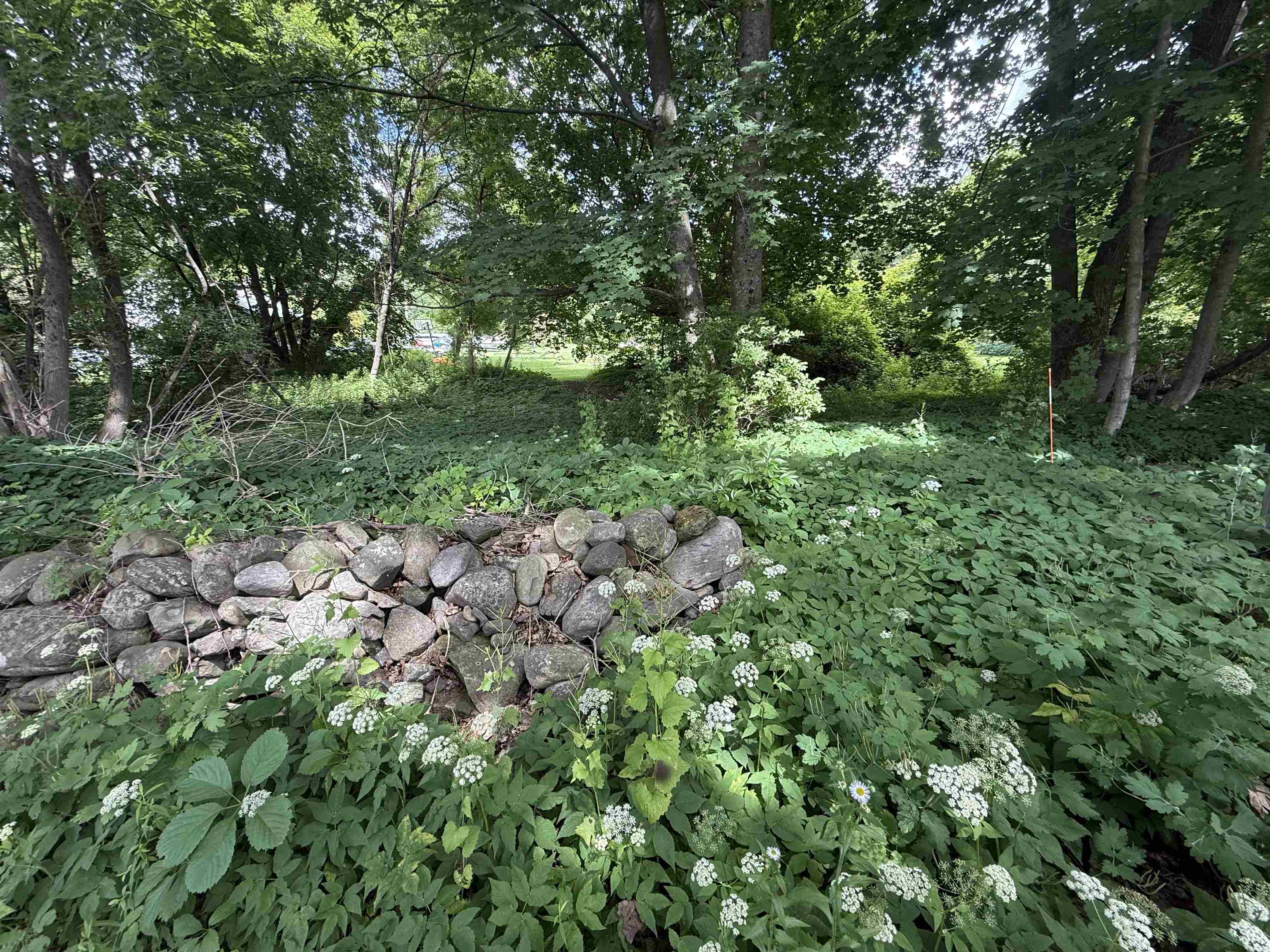 712 Vt Route 30 Property Photo 55