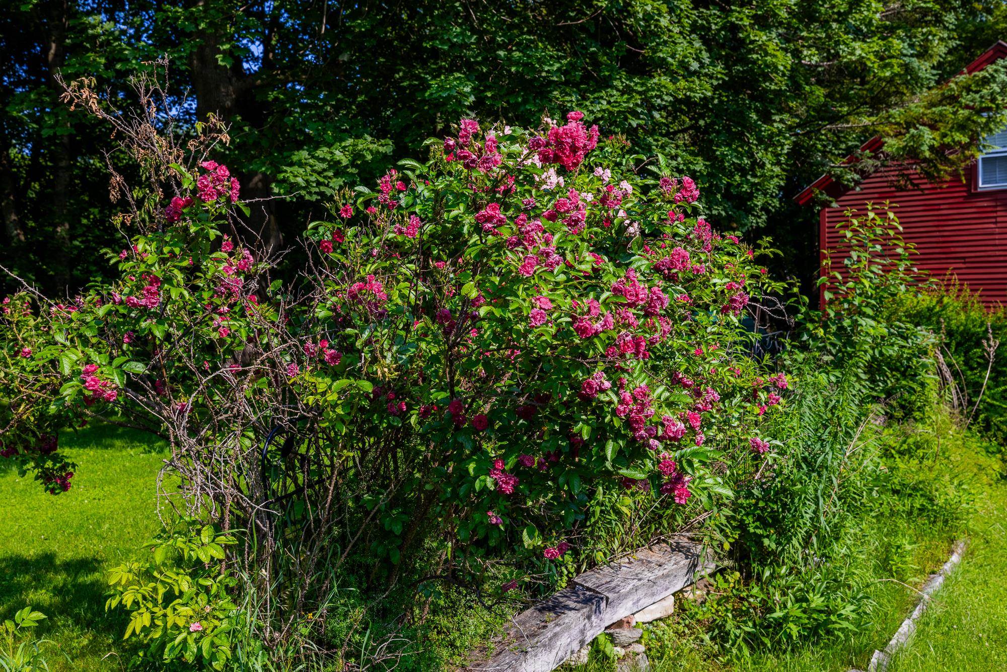 712 Vt Route 30 Property Photo 56