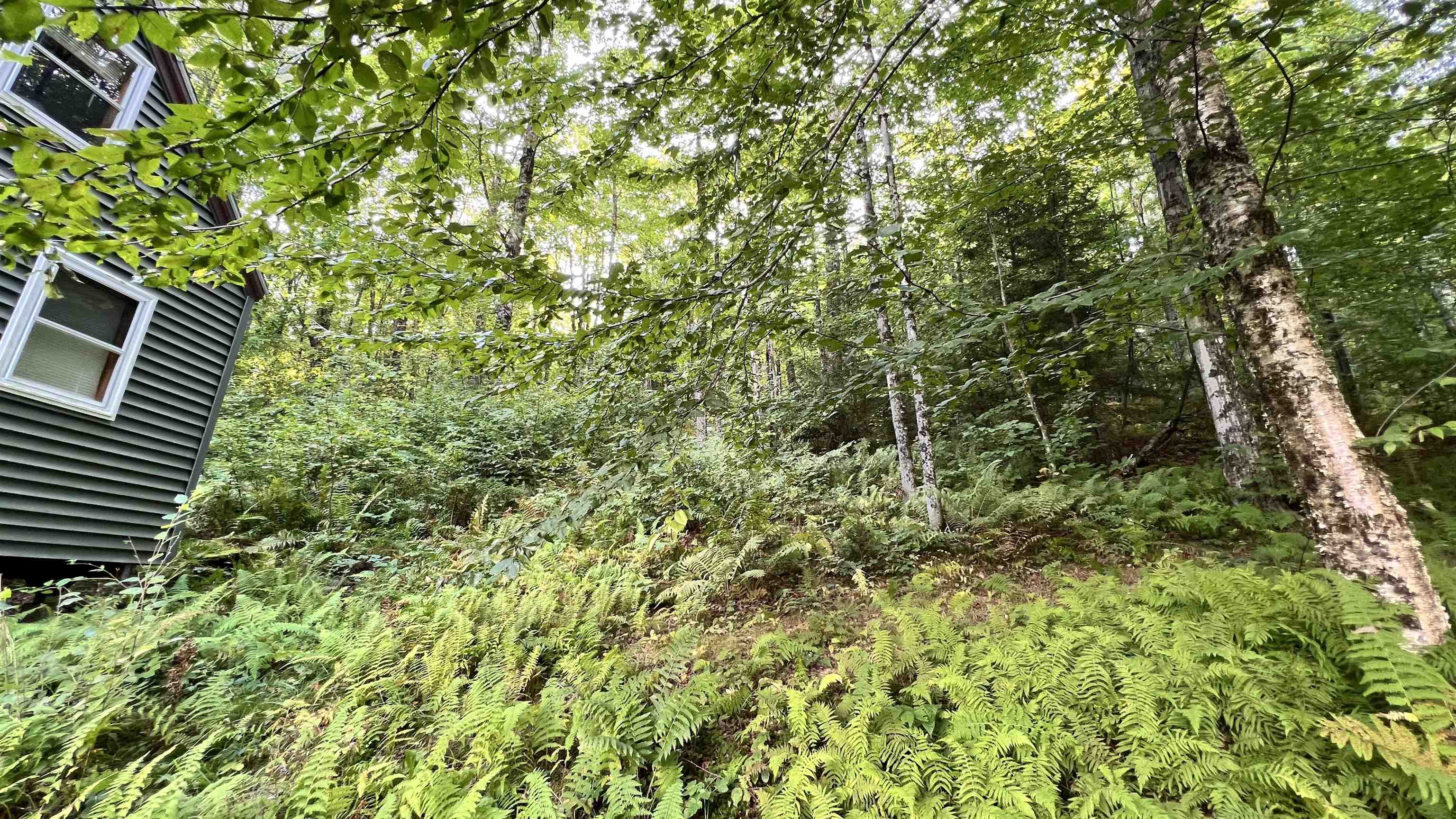 2075 Codding Hollow Road Property Photo 35