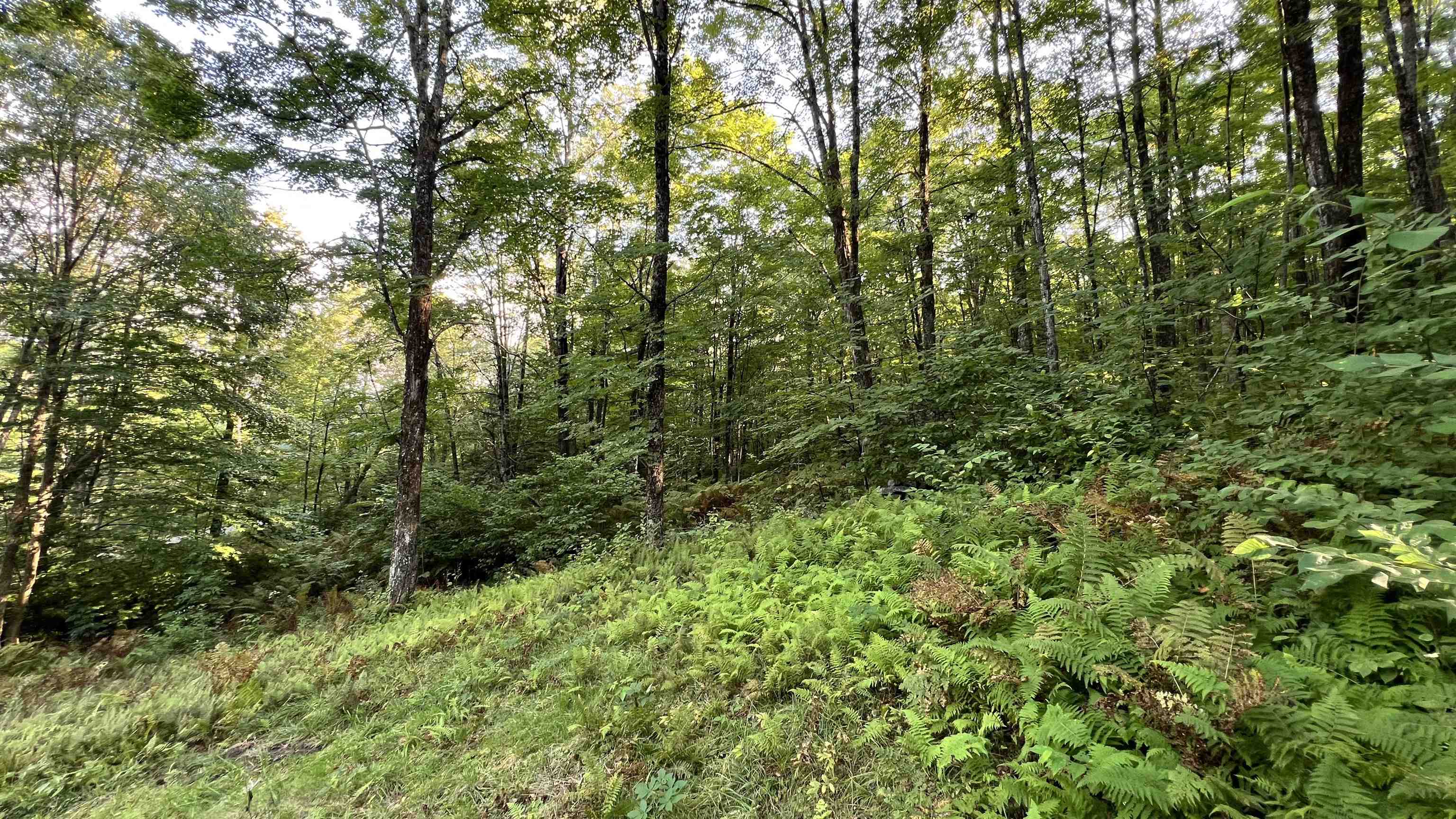 2075 Codding Hollow Road Property Photo 45