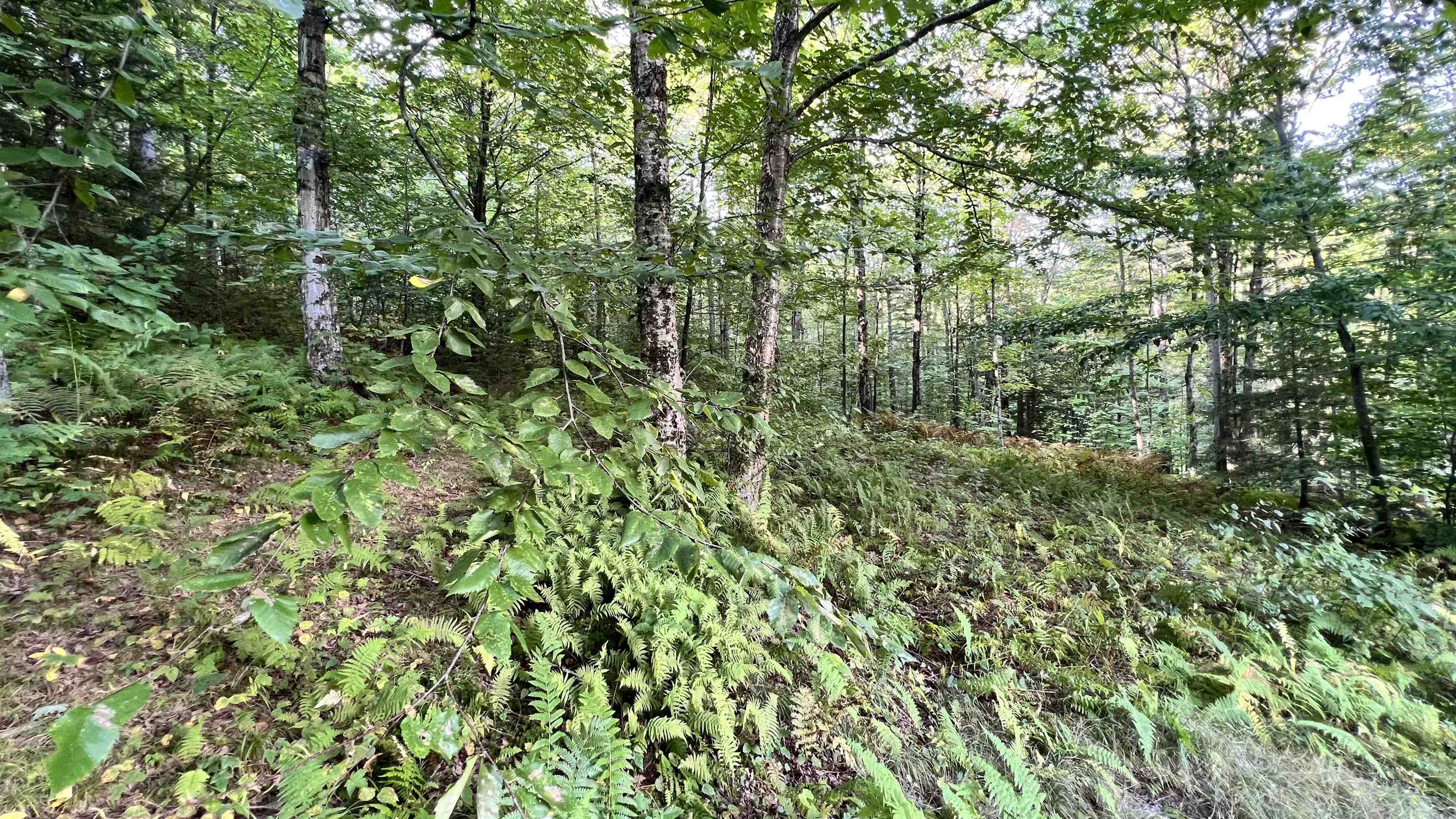 2075 Codding Hollow Road Property Photo 46