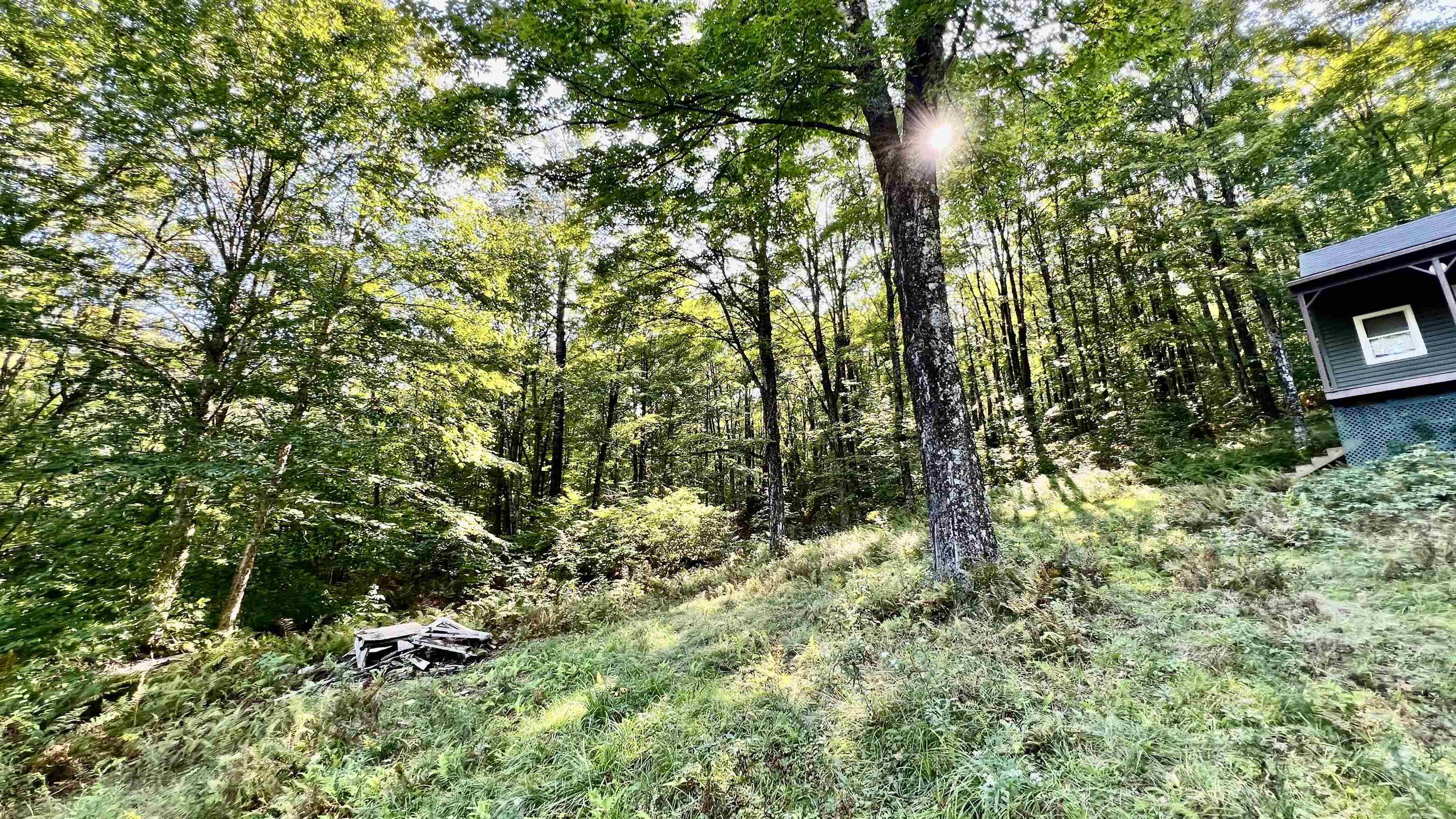 2075 Codding Hollow Road Property Photo 47