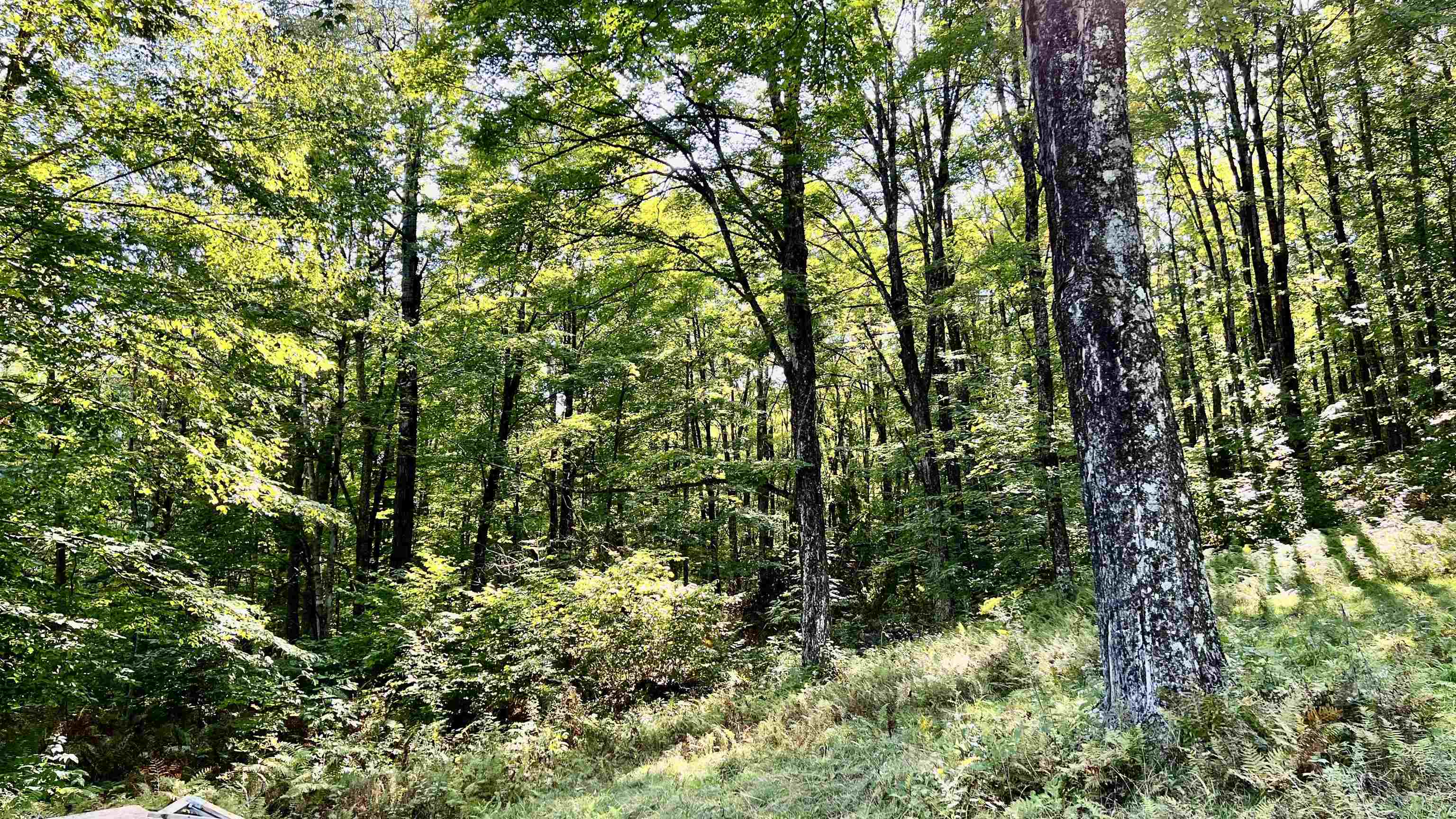 2075 Codding Hollow Road Property Photo 48