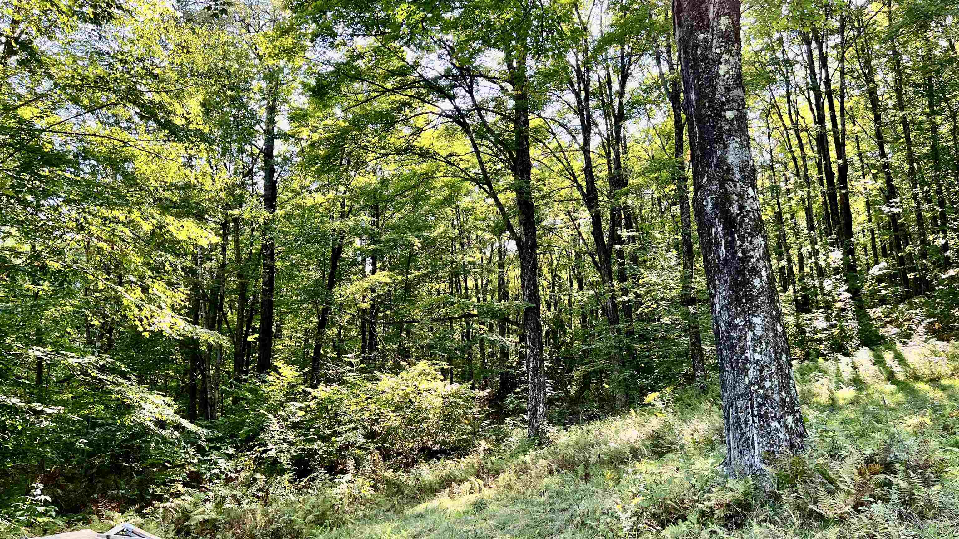 2075 Codding Hollow Road Property Photo 49