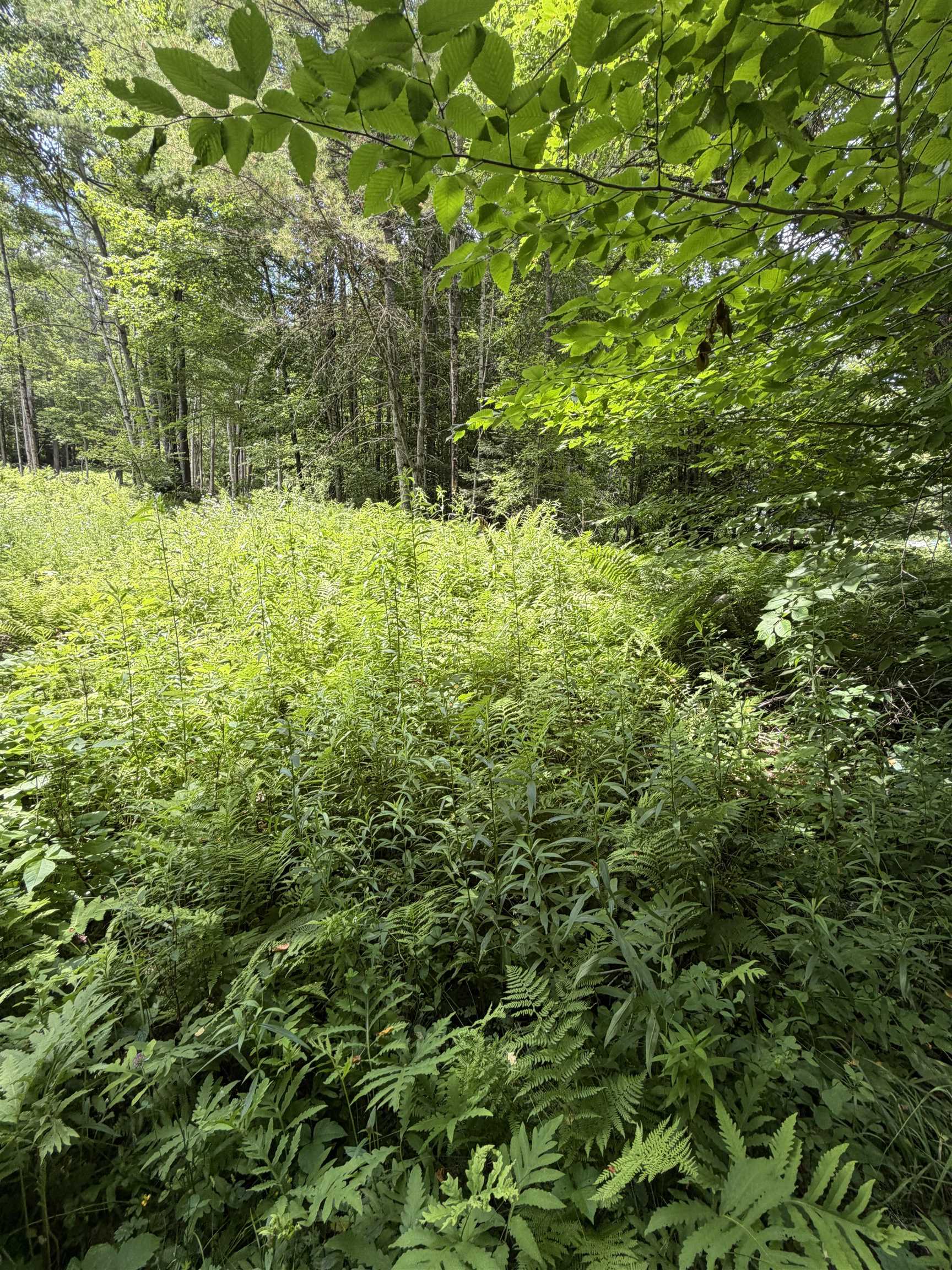 100 Ledge Road Property Photo 1