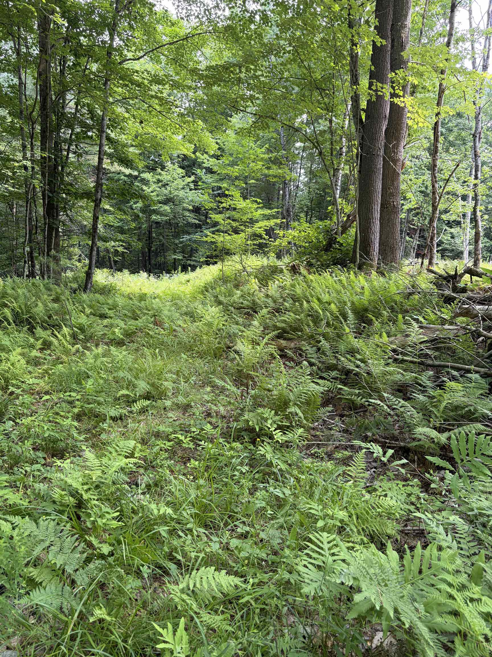 100 Ledge Road Property Photo 2