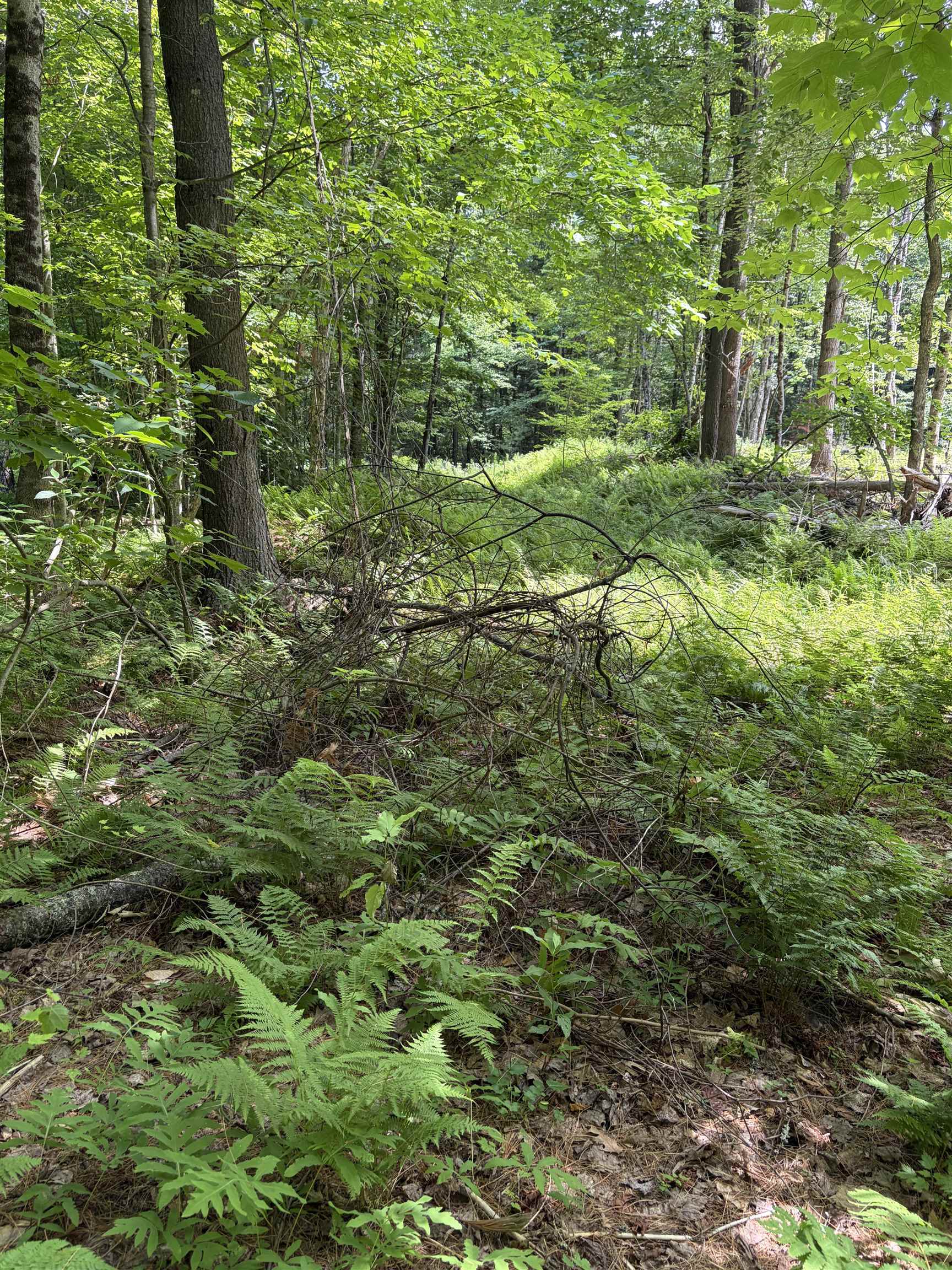 100 Ledge Road Property Photo 3