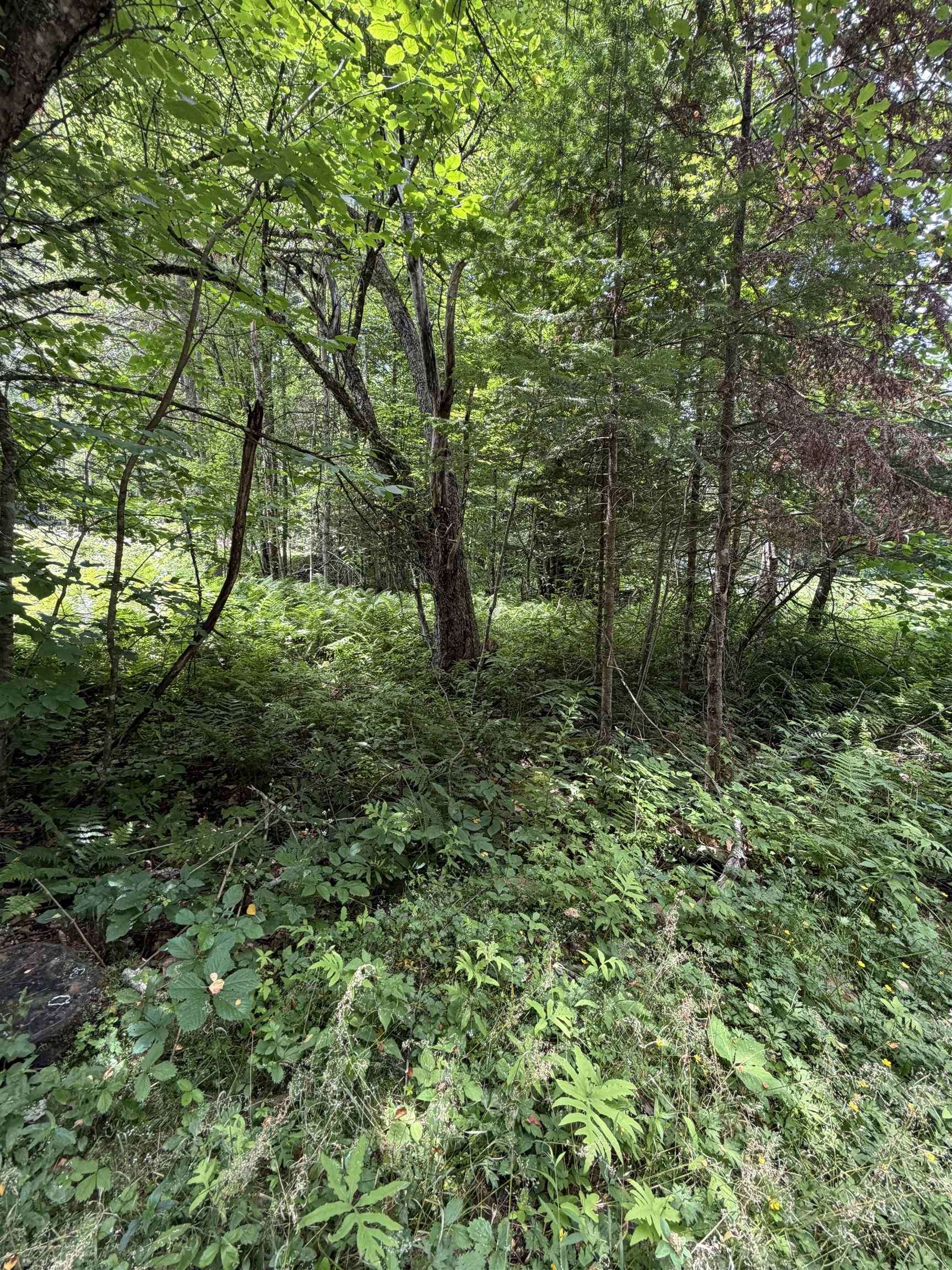 100 Ledge Road Property Photo 4