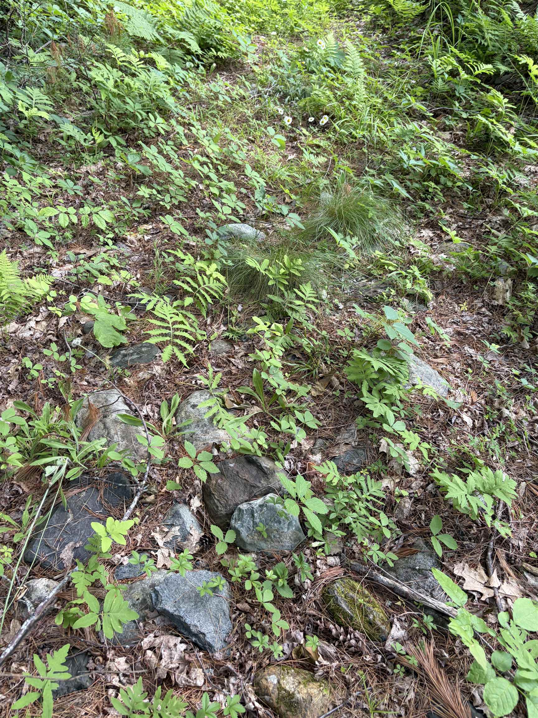 100 Ledge Road Property Photo 7
