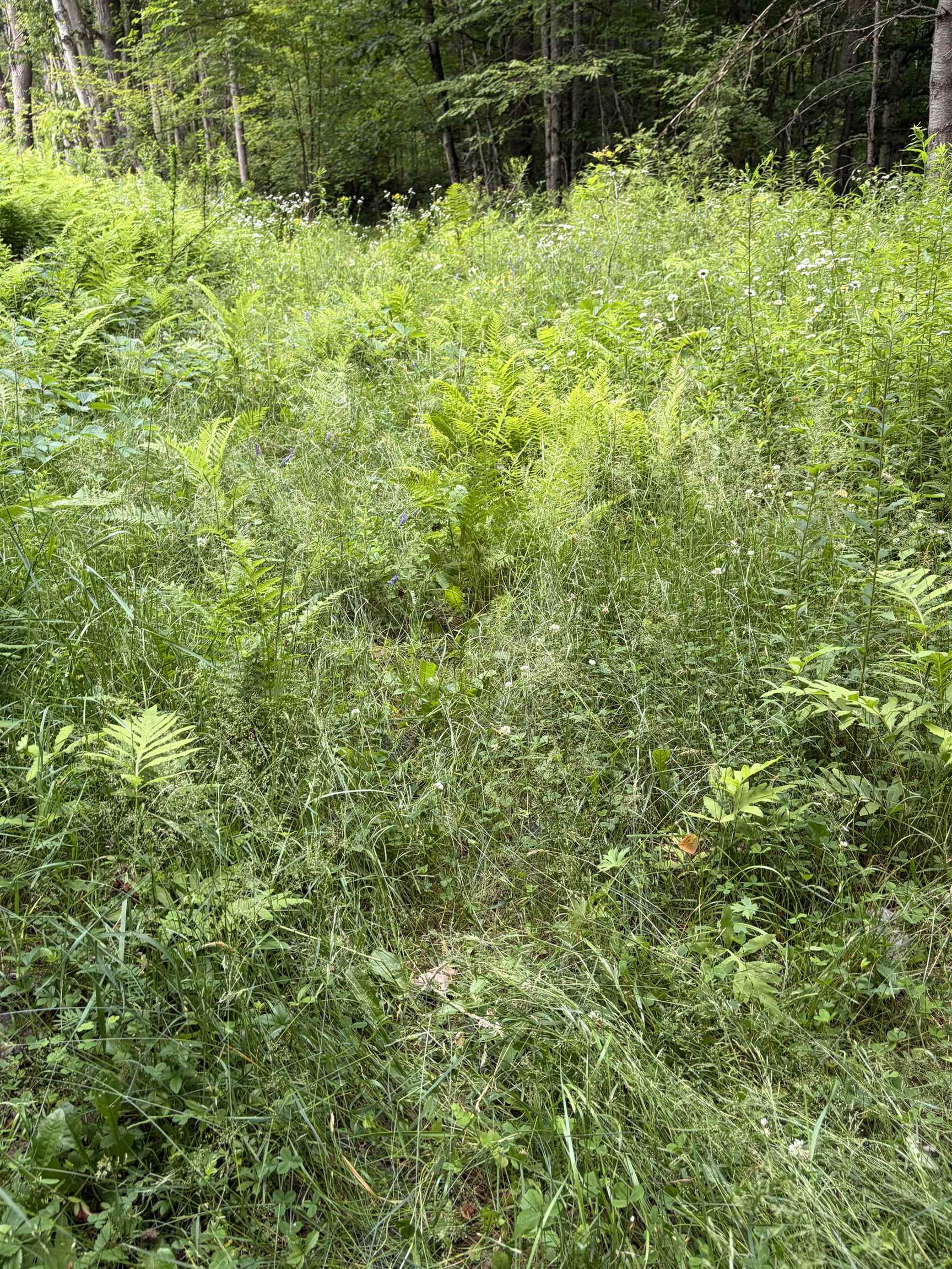 100 Ledge Road Property Photo 8
