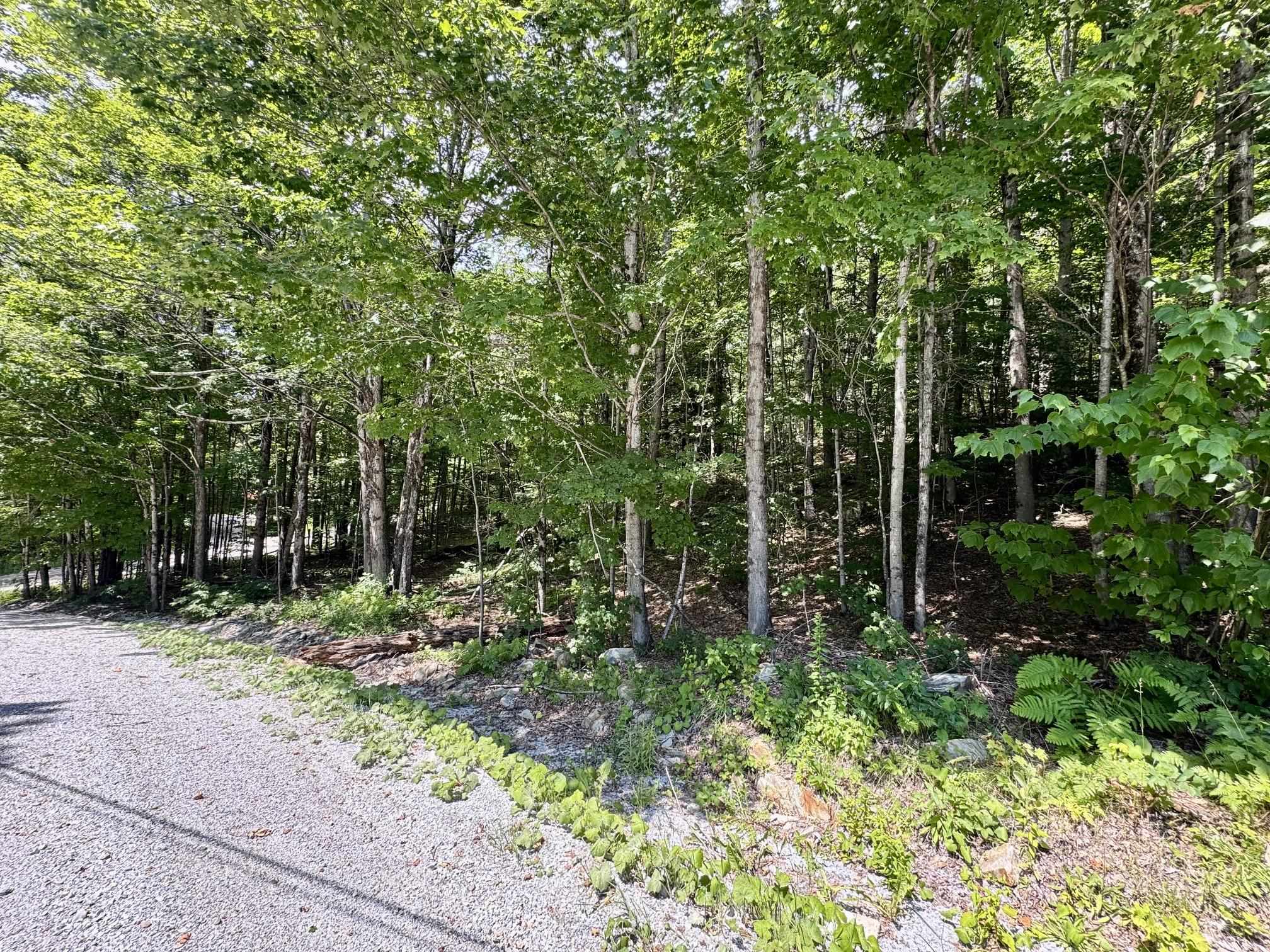 07-76 Winding Way Property Photo 4