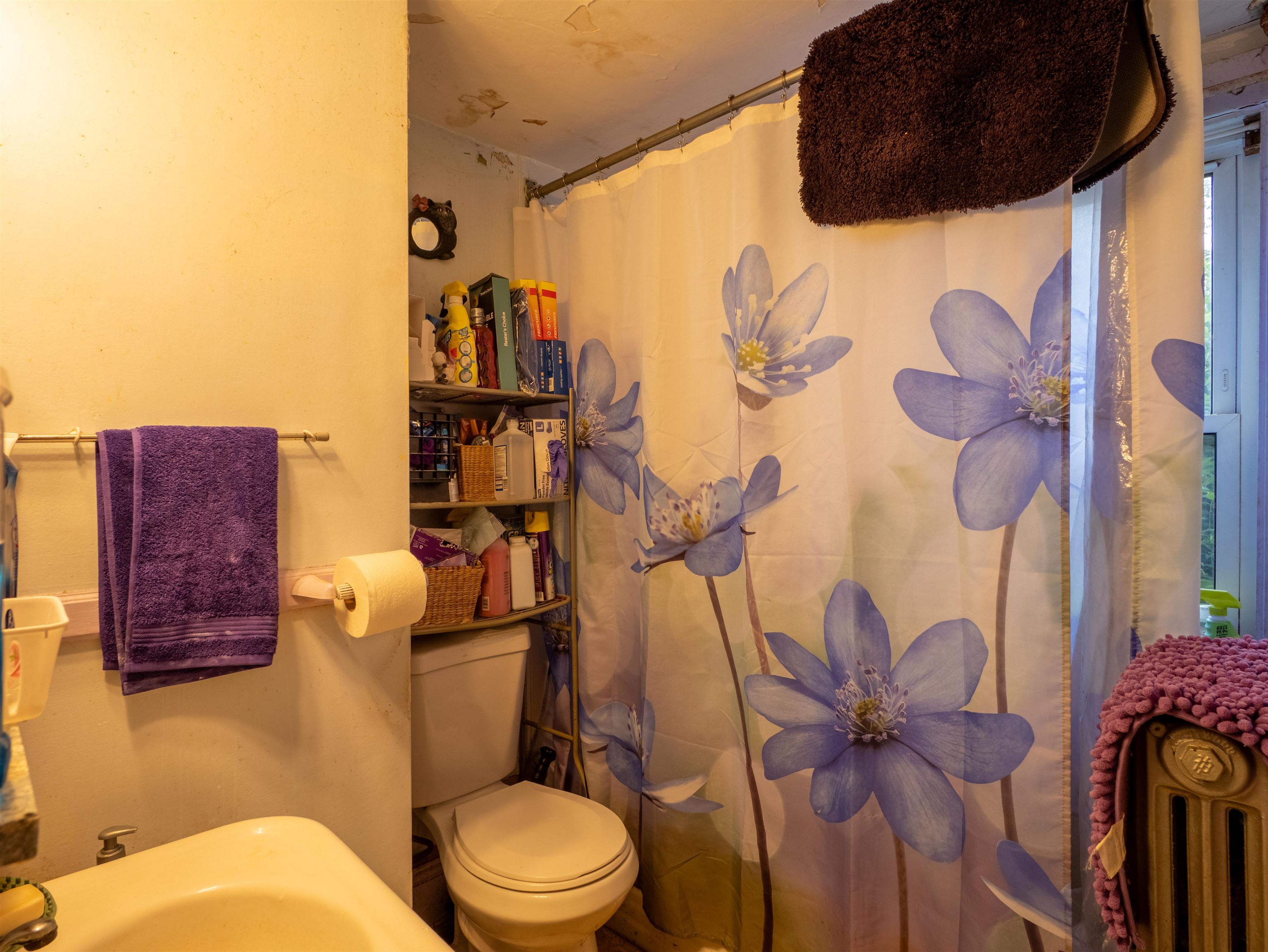 41 Union Street Property Photo 14
