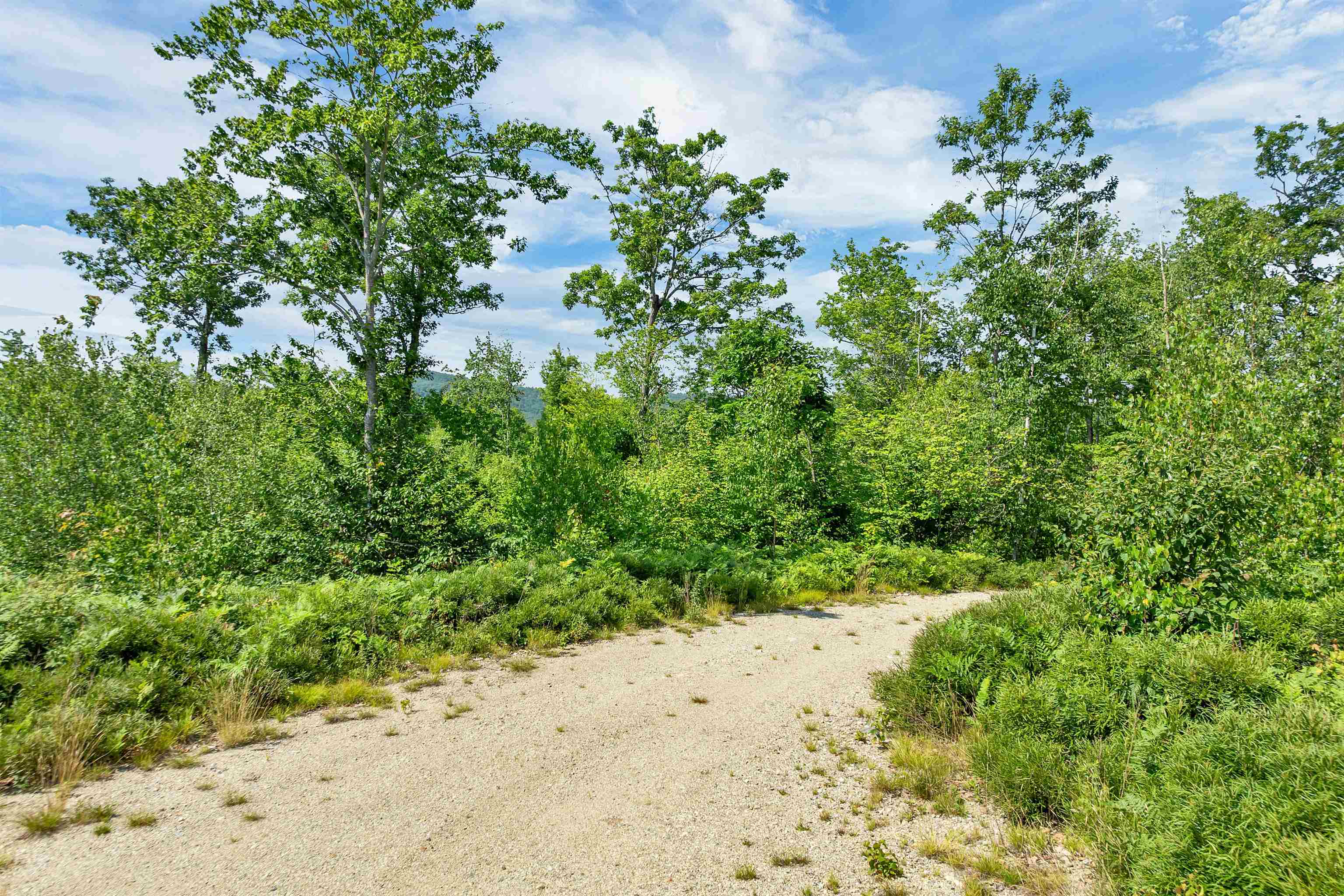 Lot 5 Village Corner Road Property Photo 22