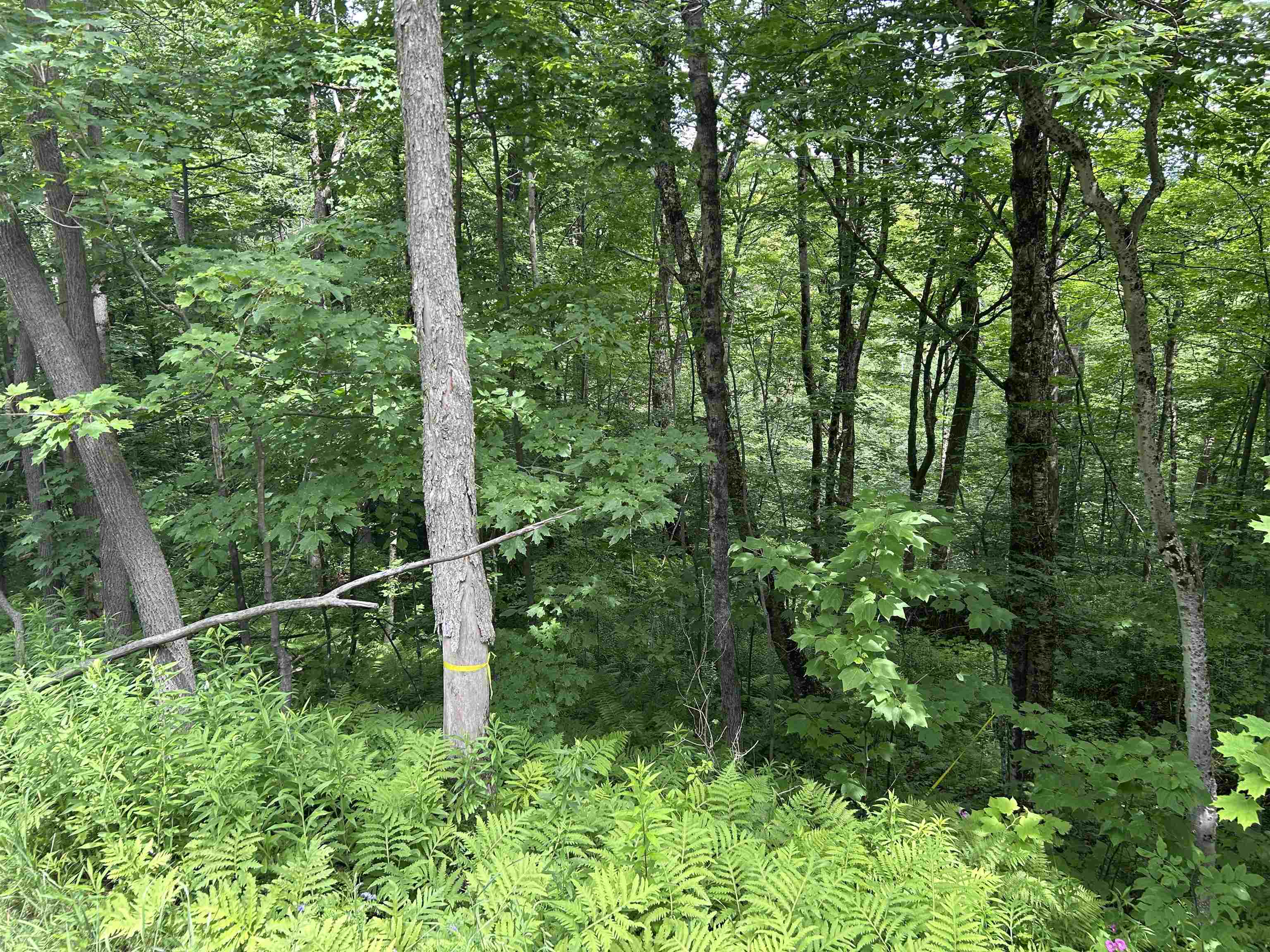 0 Route 30 Property Photo 2