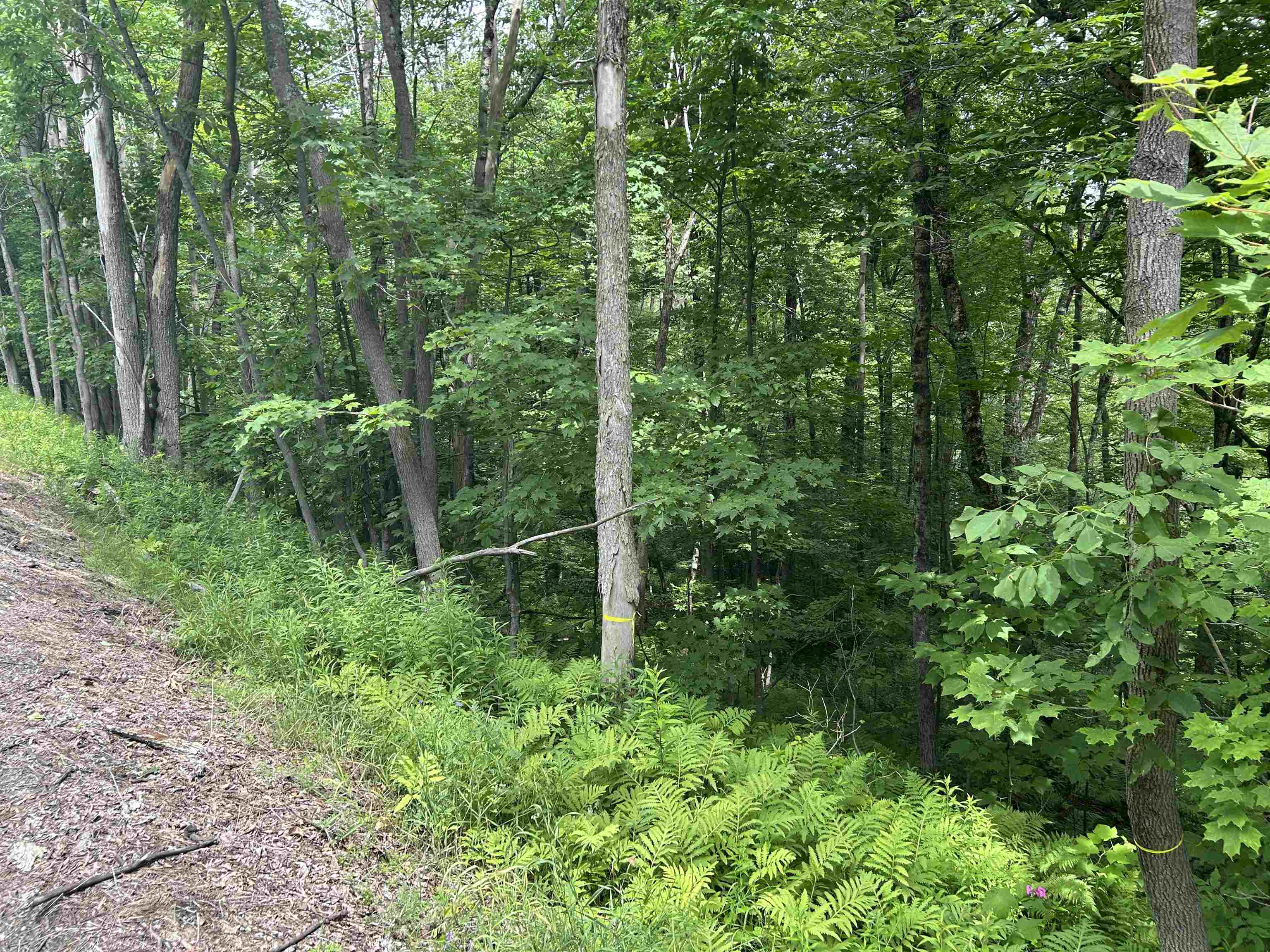 0 Route 30 Property Photo 3