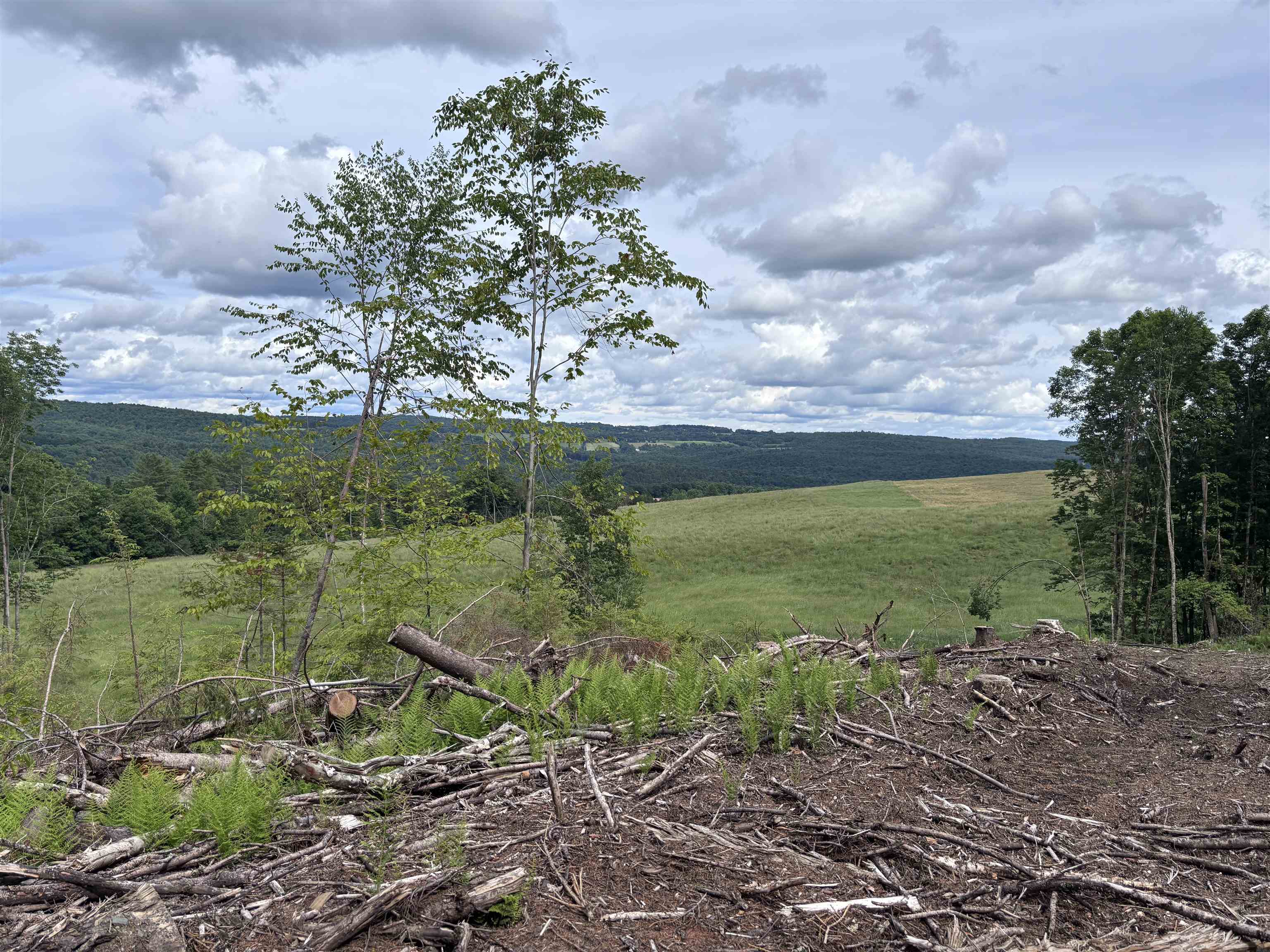 0 Davis Acres Road