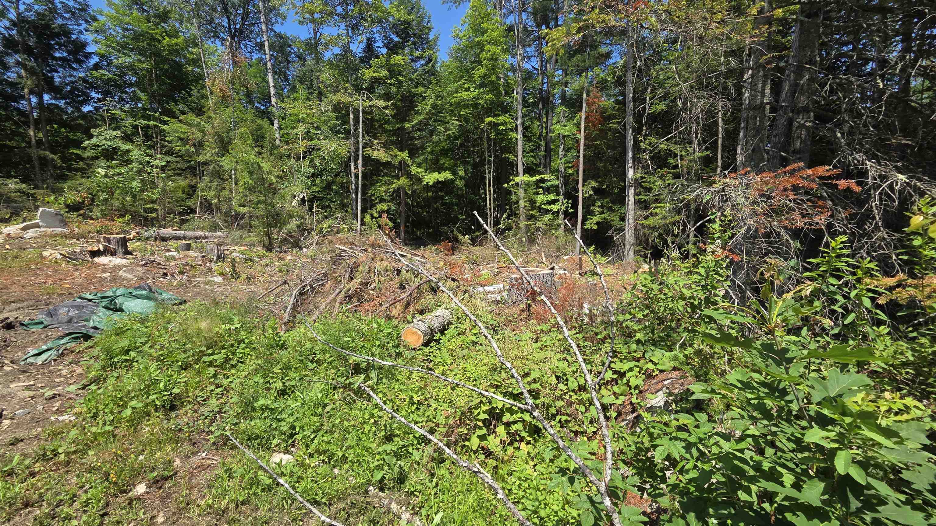 55 Grafton Turnpike Road Property Photo 6