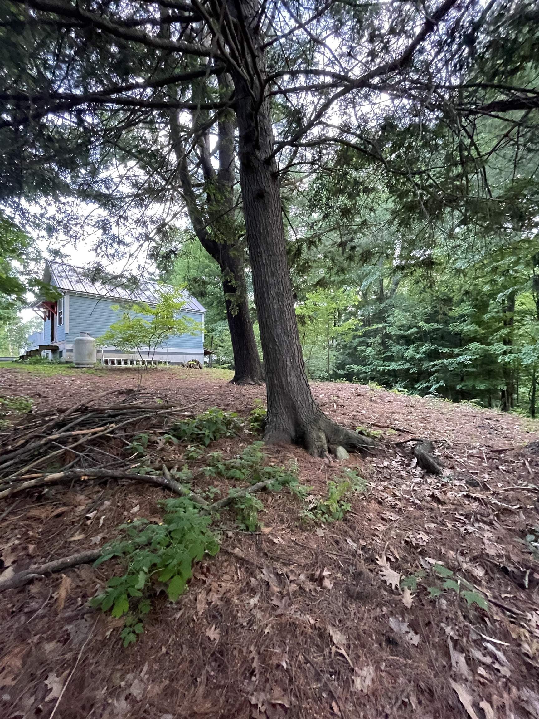 117 * Fuller Drive Property Photo 17