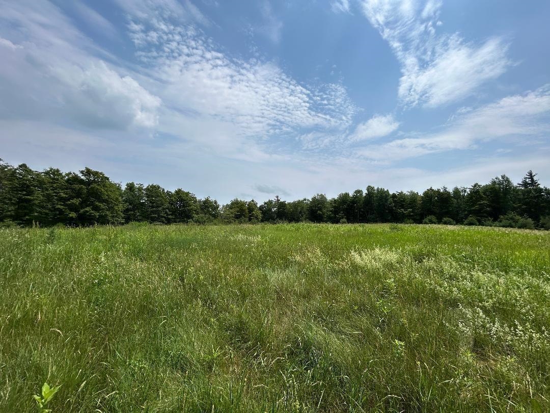 6036 Jacksonville Stage Road Property Photo 4