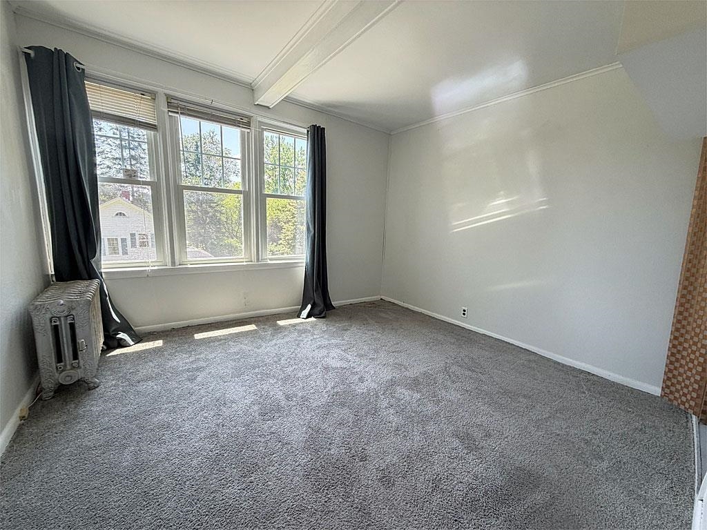 39 Cramton Avenue Property Photo 15