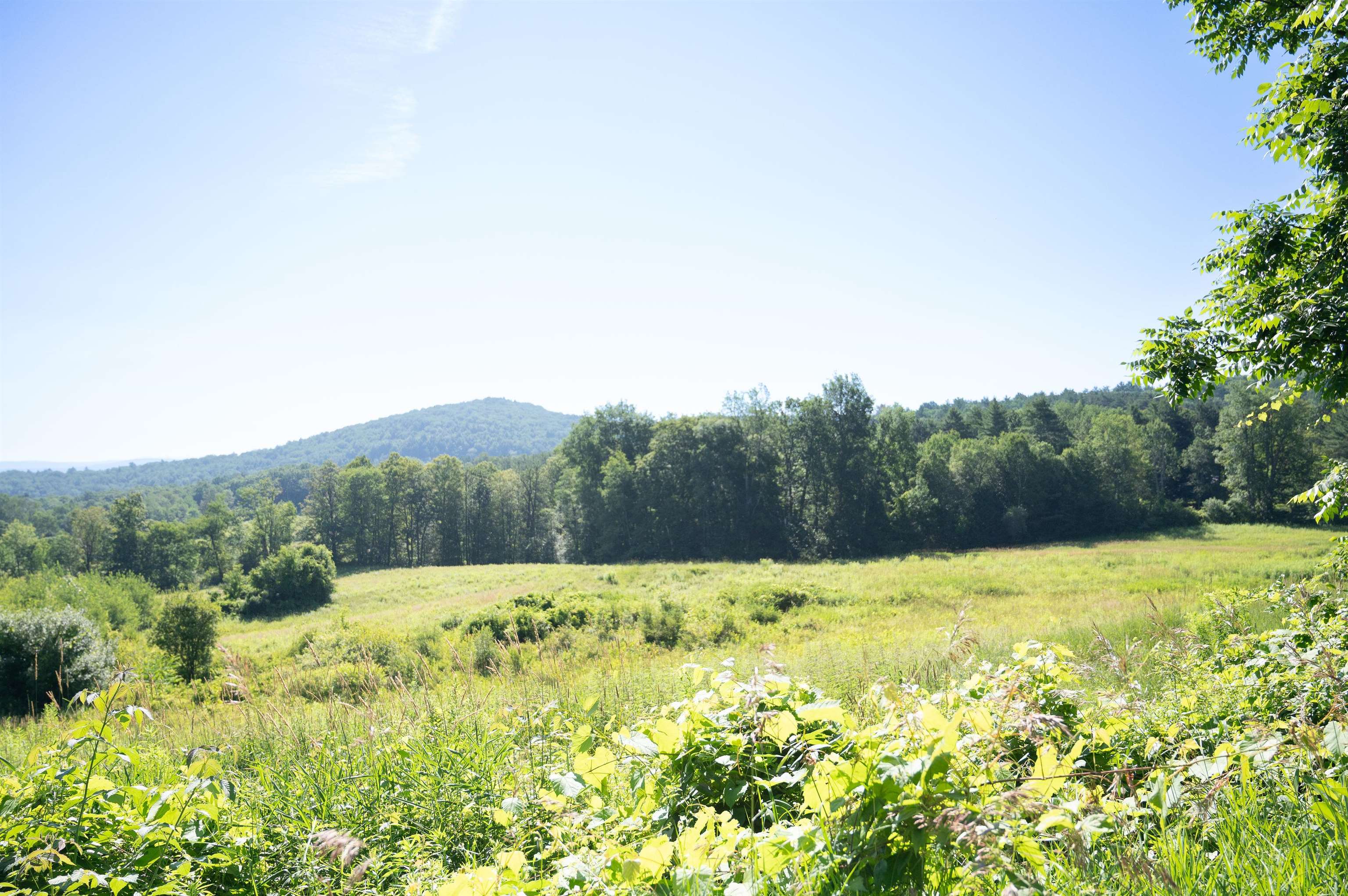 165 Dutton Farm Road Property Photo 18