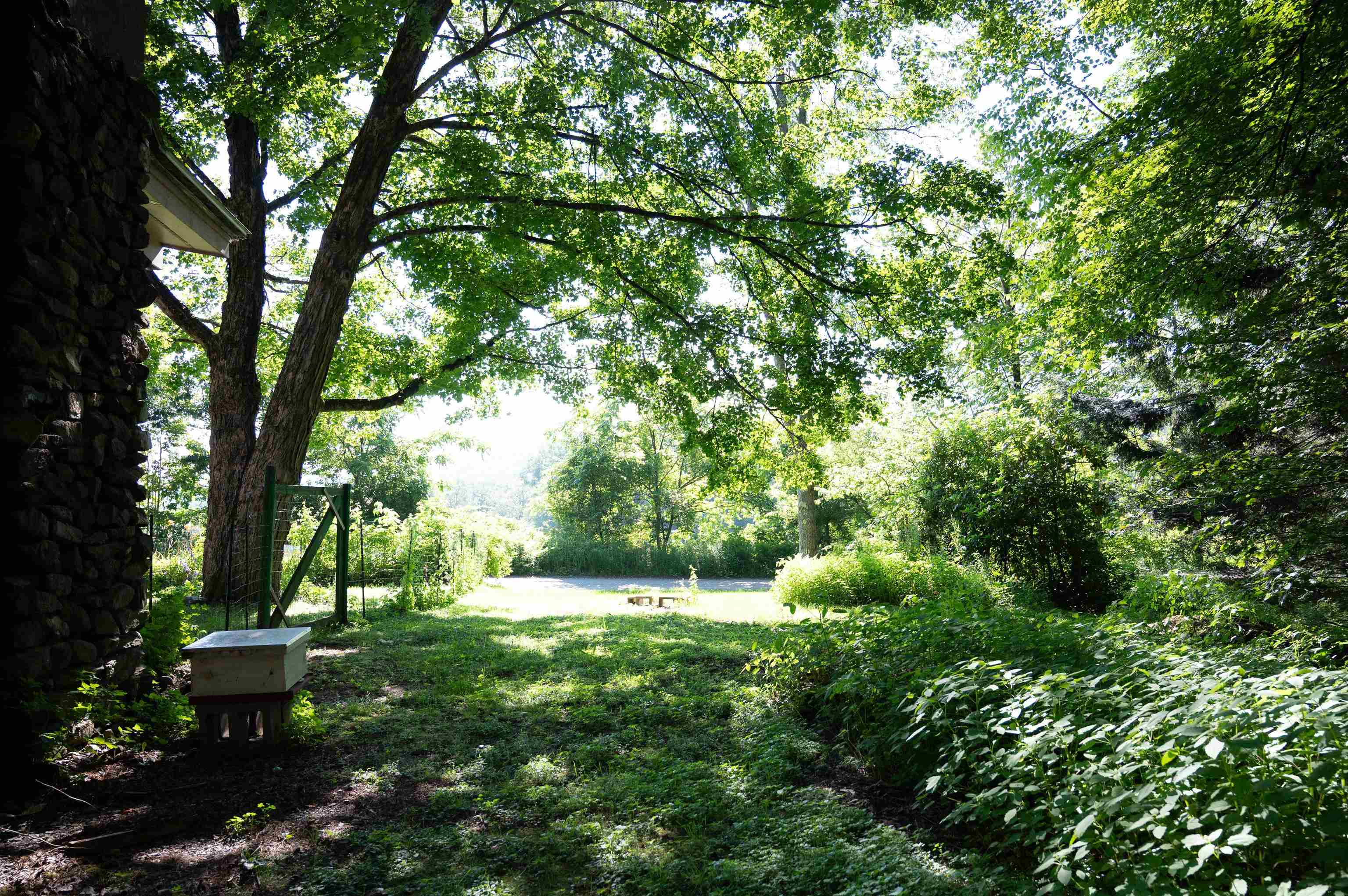 165 Dutton Farm Road Property Photo 22