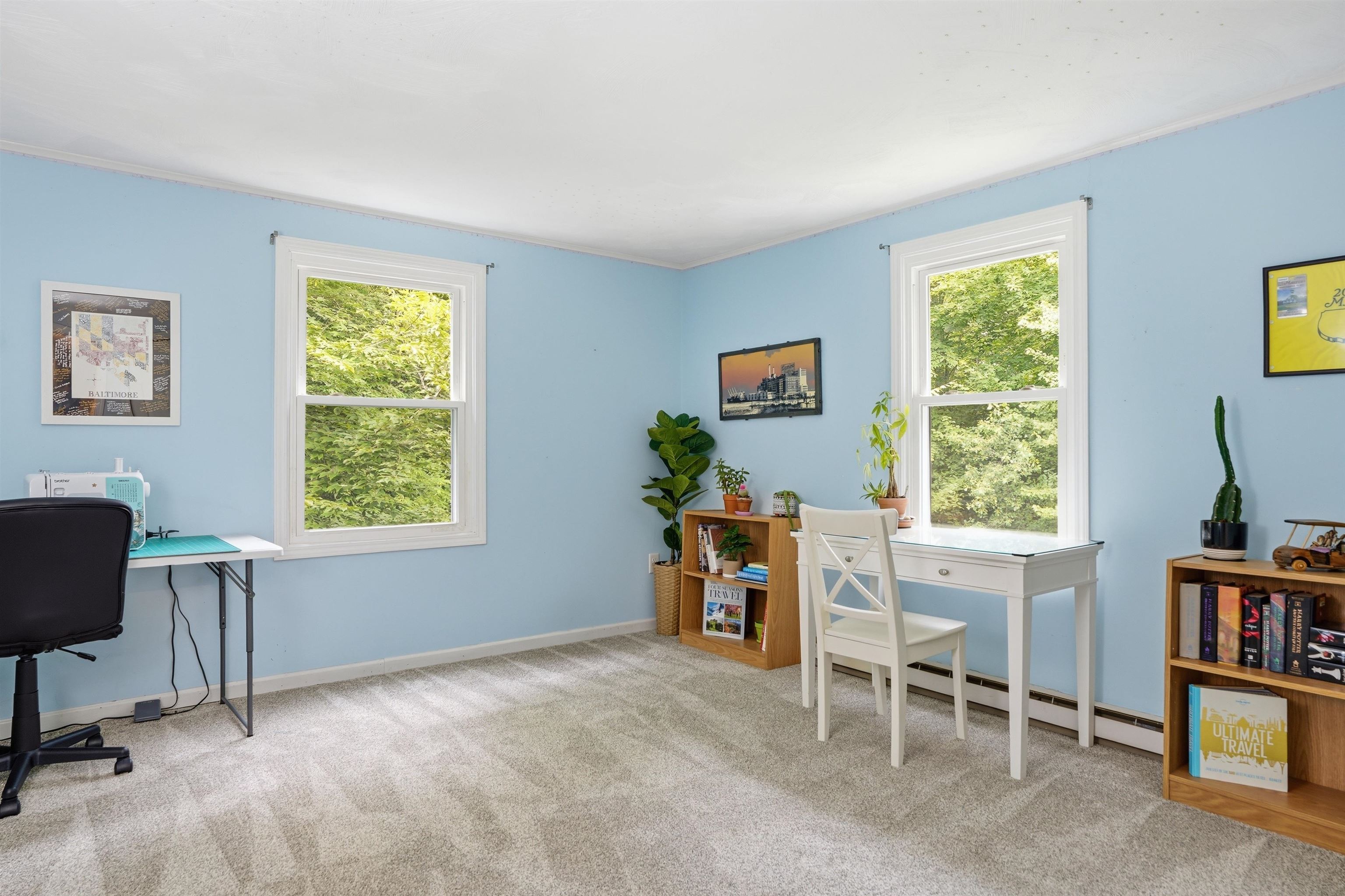 35 Salisbury Road Property Photo 29