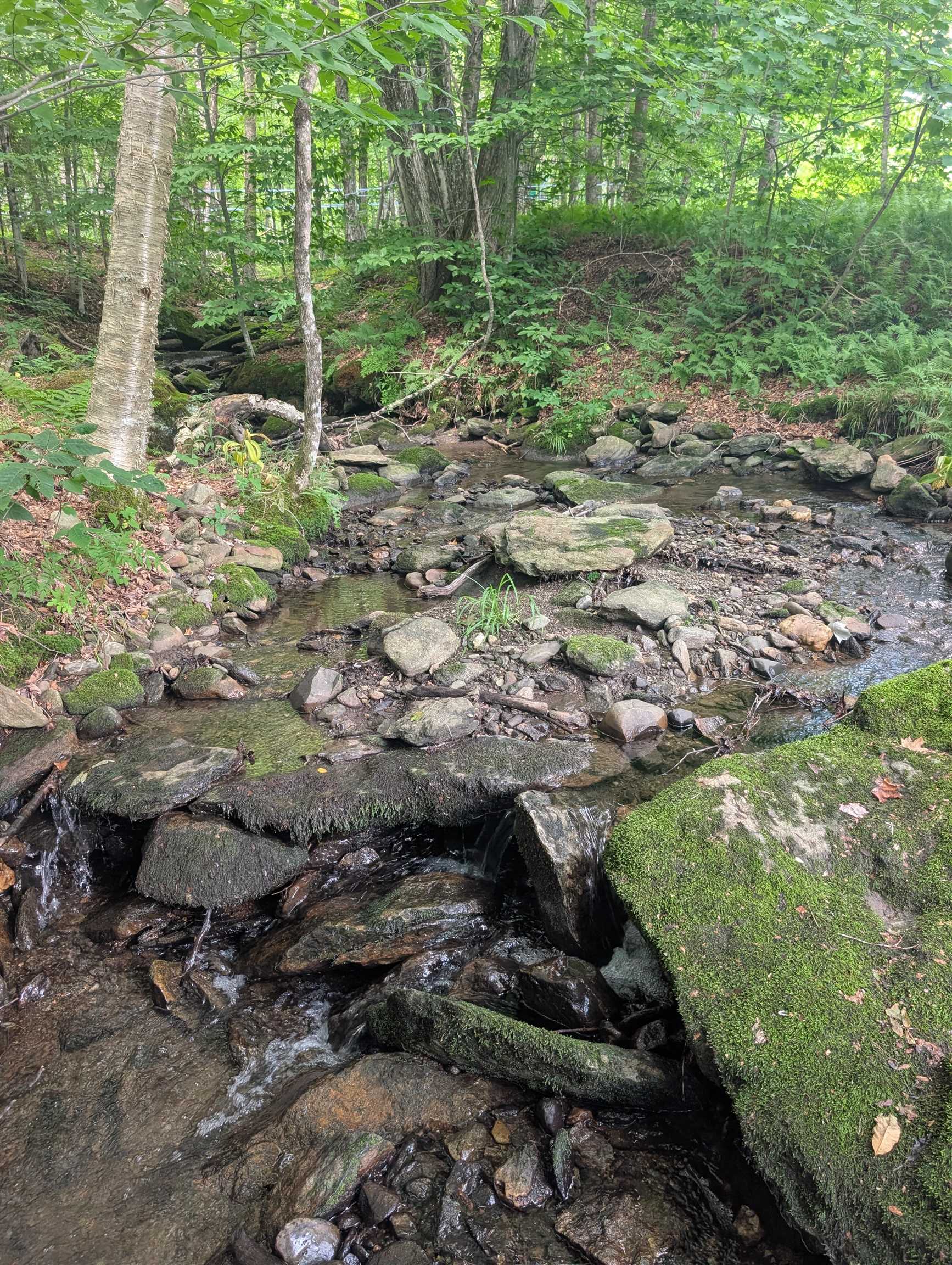 3076 Vermont Route 109 Property Photo 19