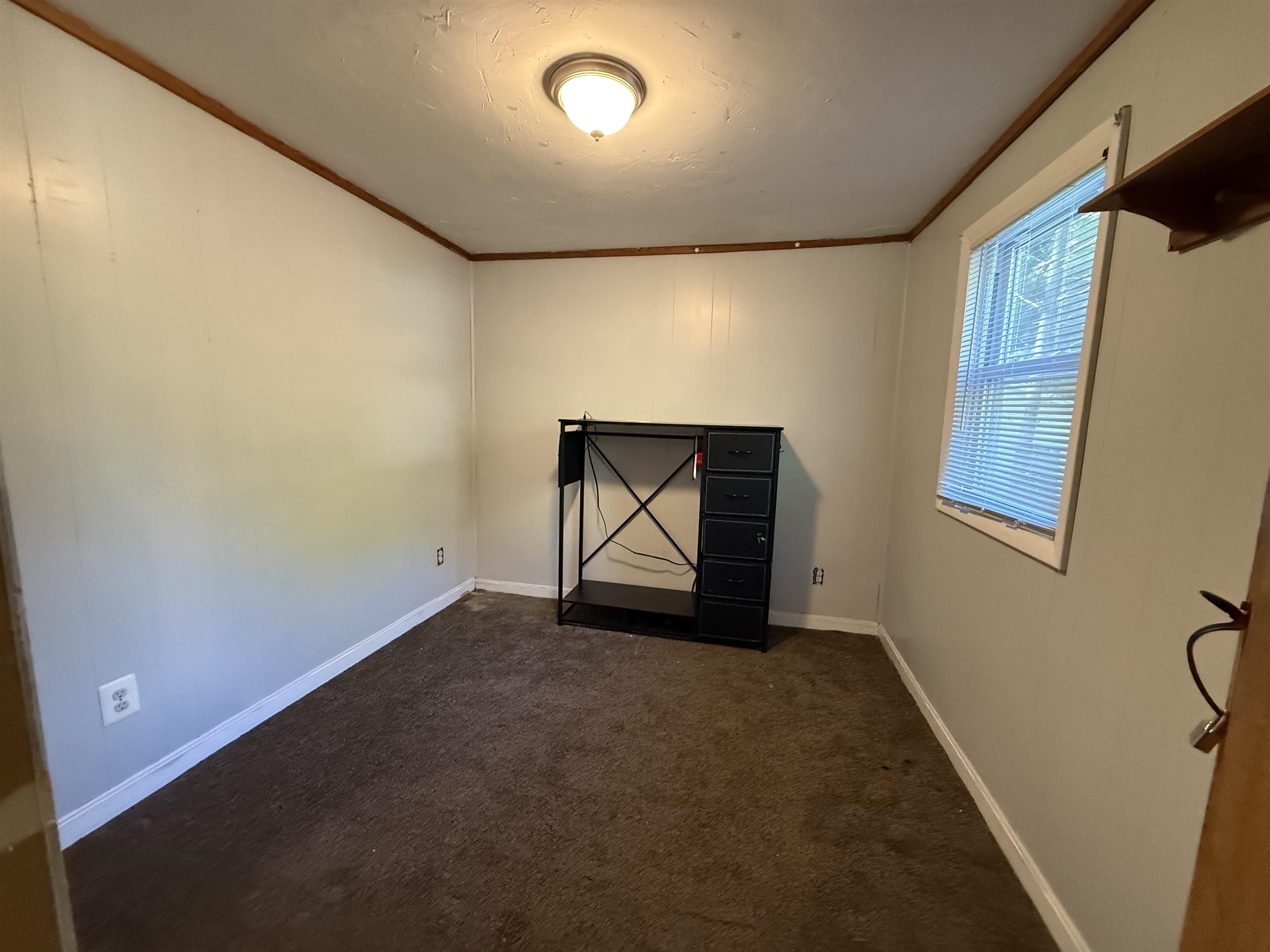 22 Chestnut Avenue Property Photo 13