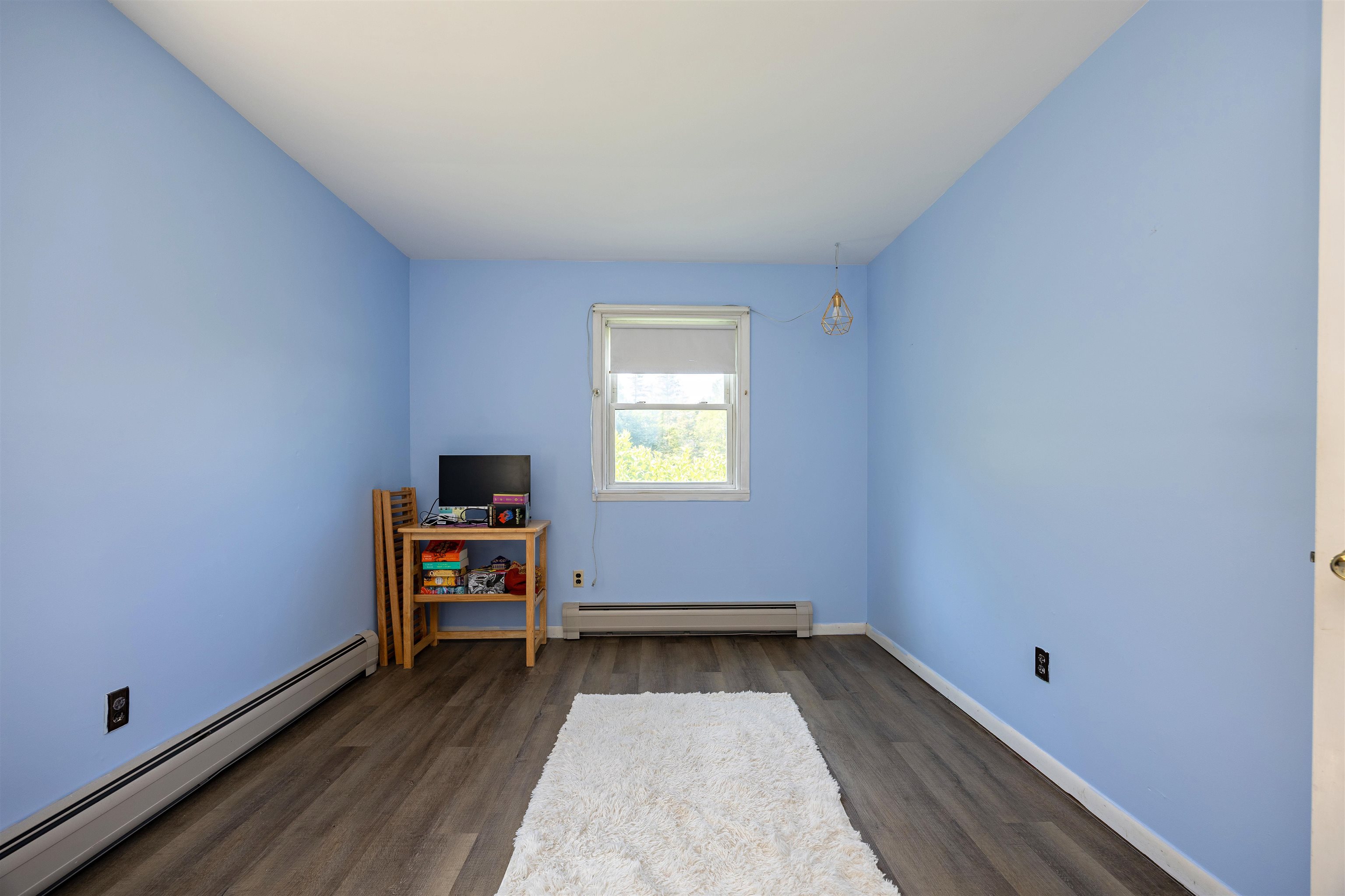 269 Lyndon Heights Drive Property Photo 28
