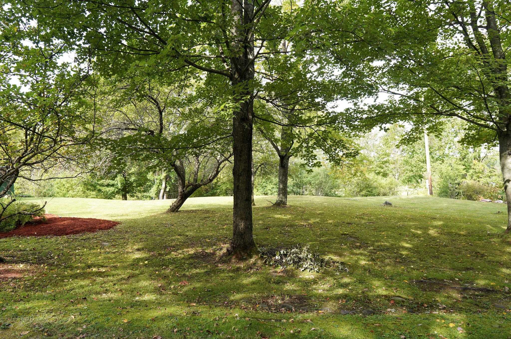 1186 French Hill Road Property Photo 53