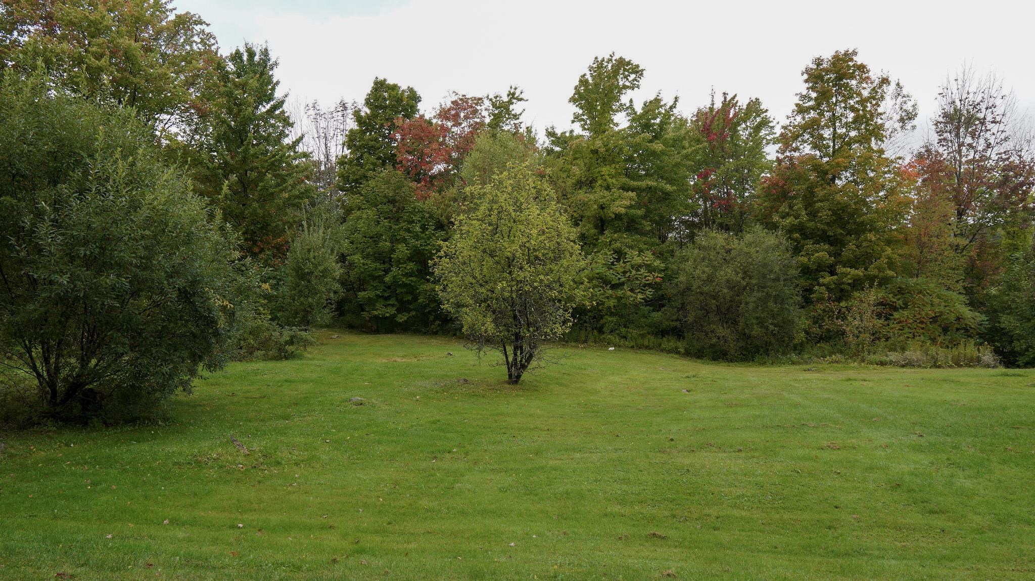 1186 French Hill Road Property Photo 57
