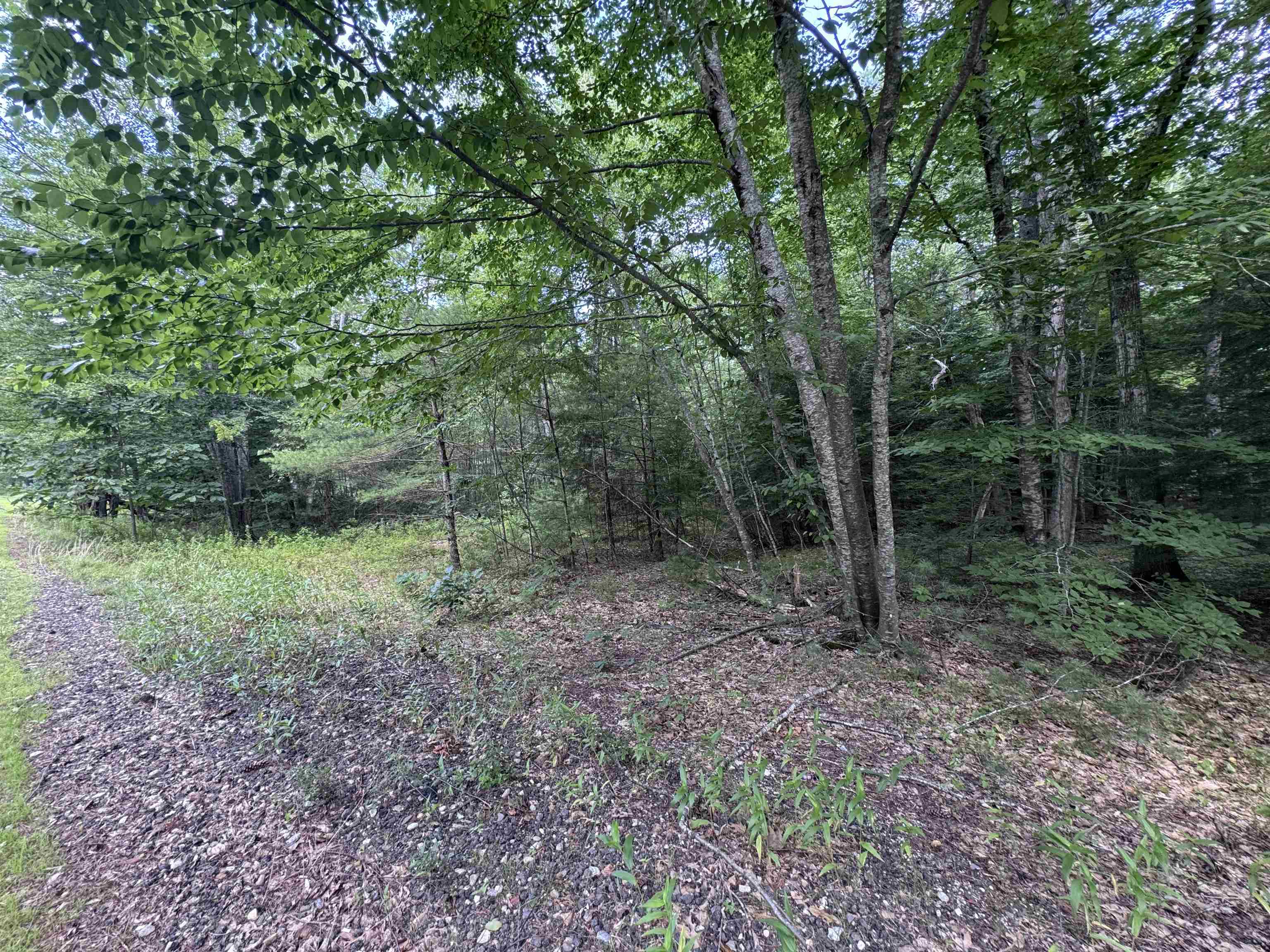 140 Parker Mountain Road Property Photo 11