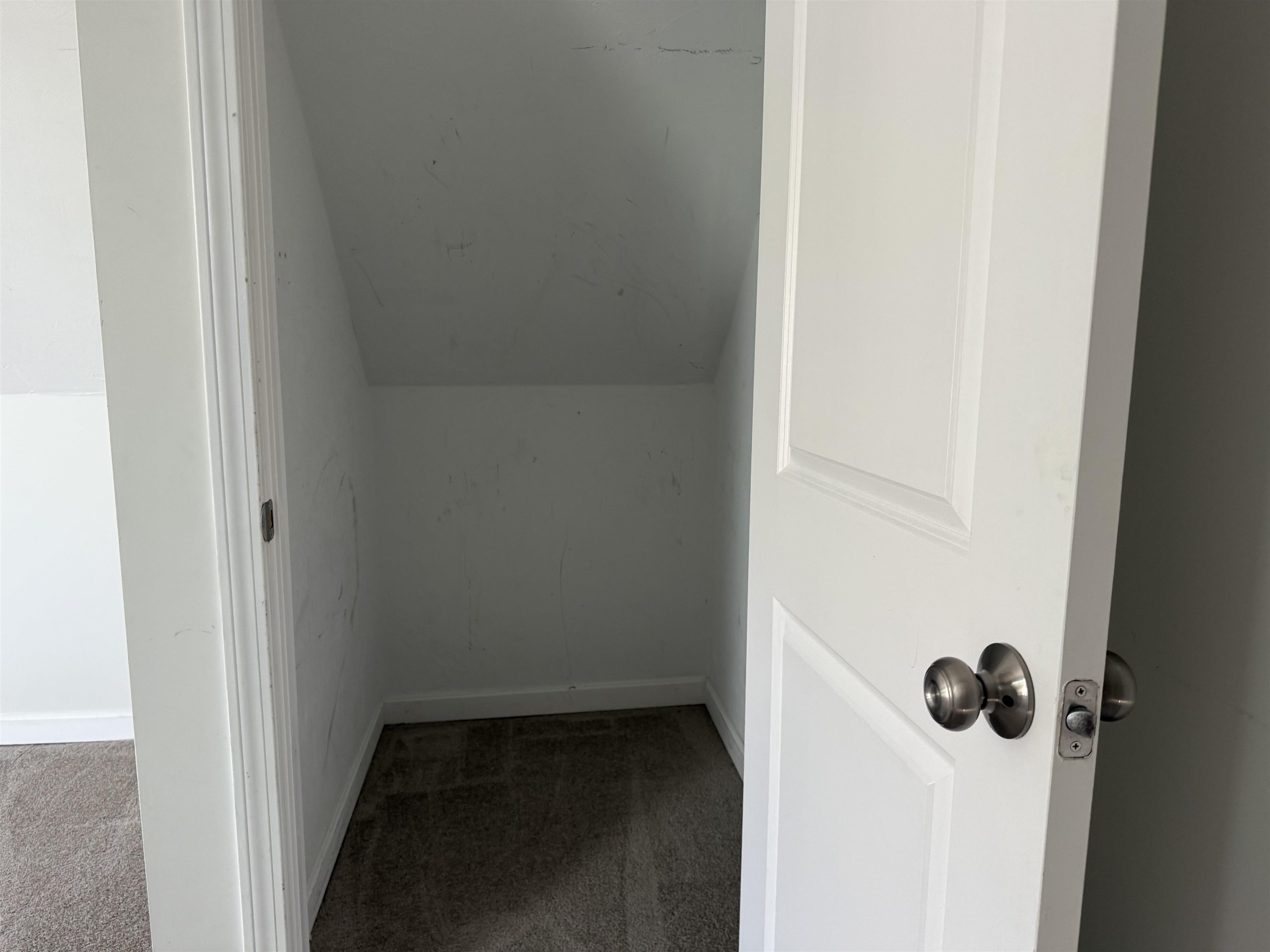 15 Lehner Street Property Photo 11