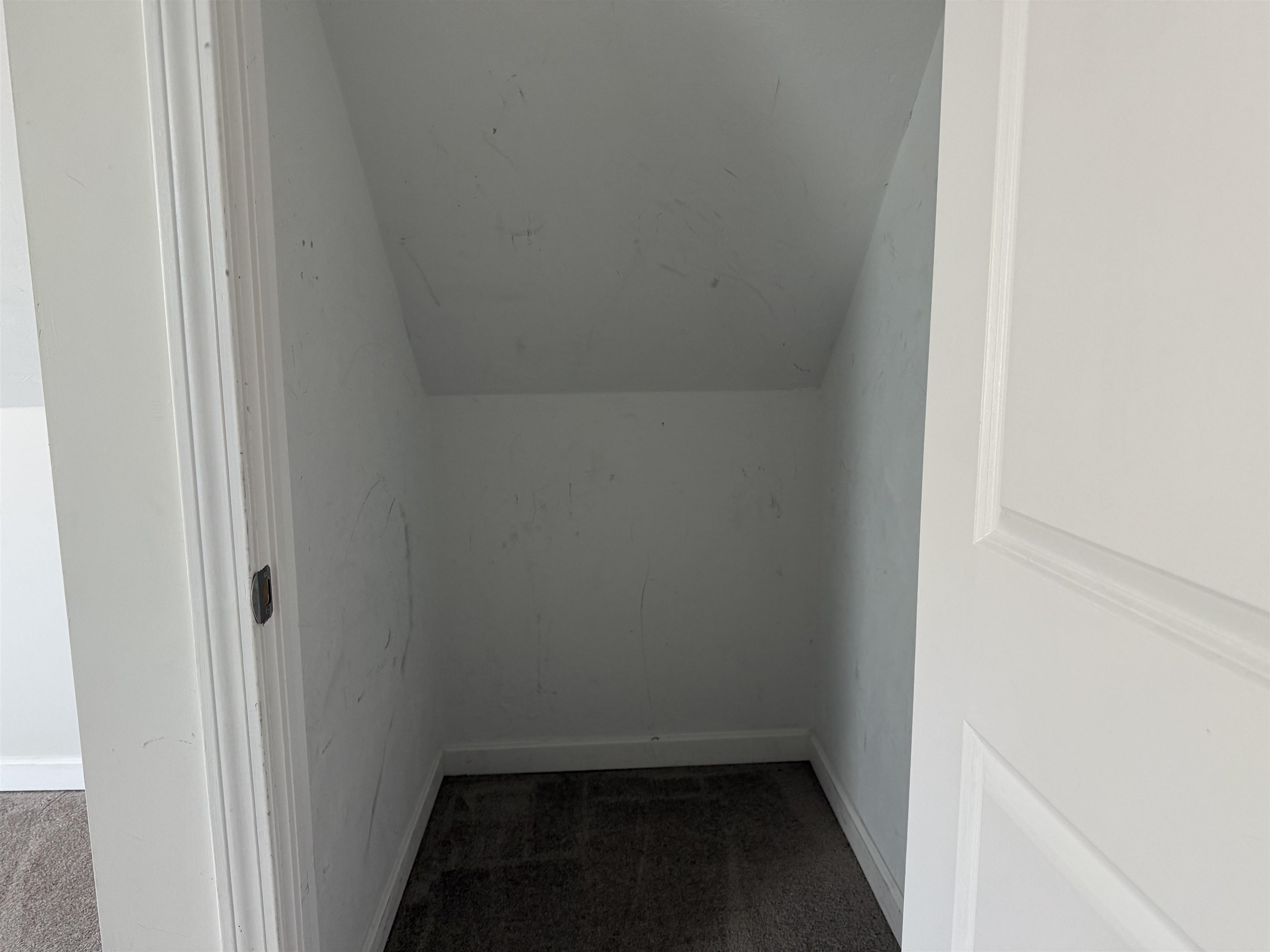 15 Lehner Street Property Photo 13