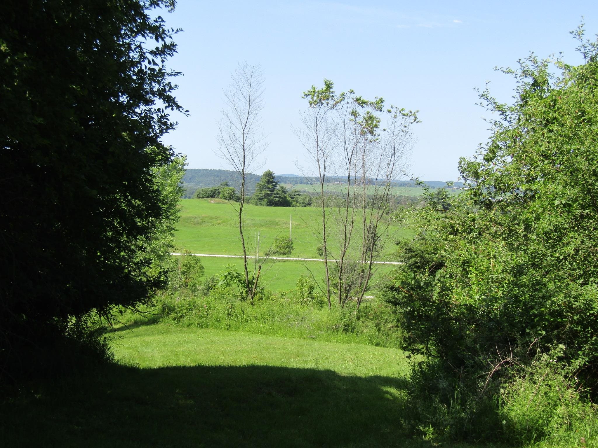 331 Gilman Road Property Photo 3