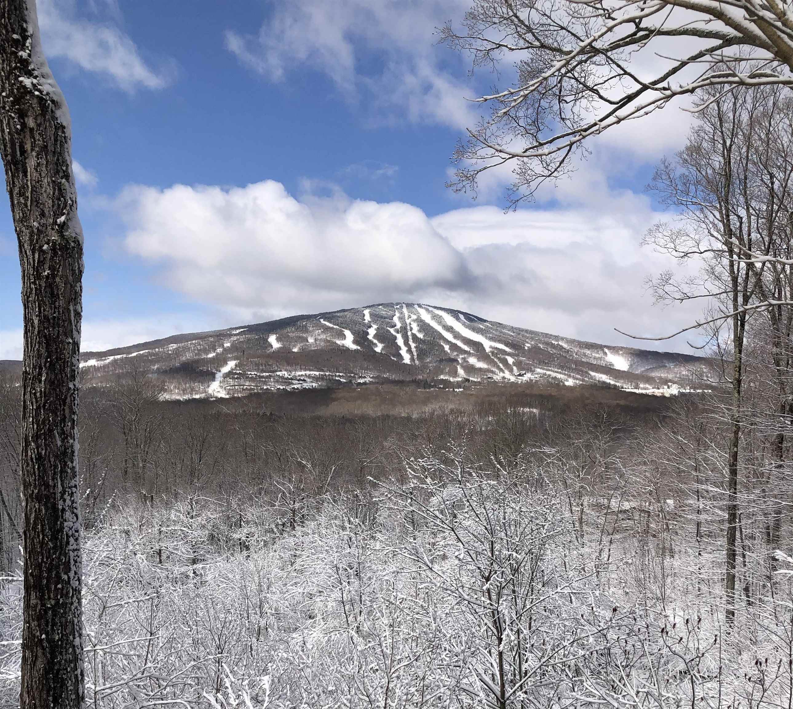 0 Mountain Haunts Property Photo 3