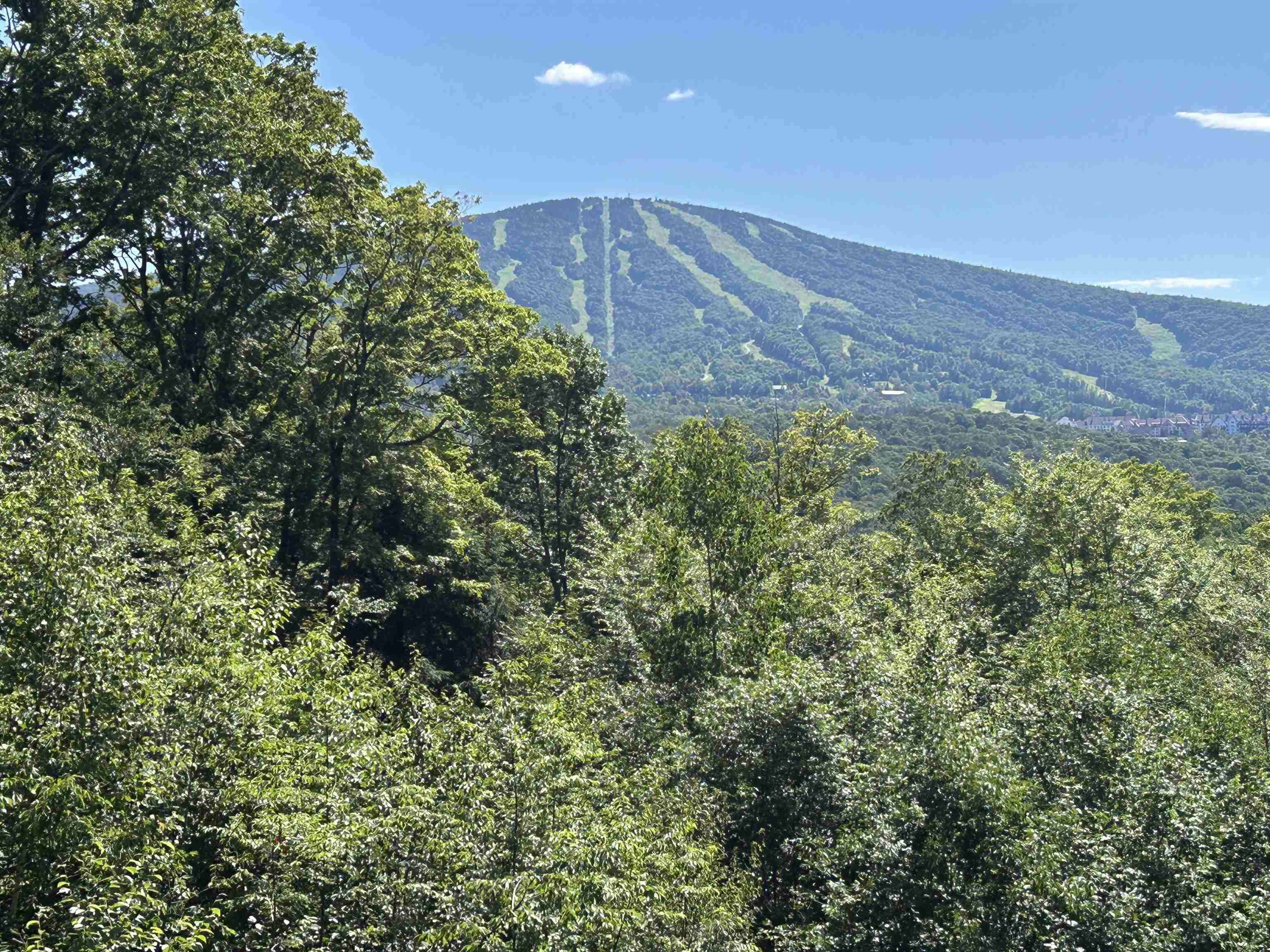 0 Mountain Haunts Property Photo 8
