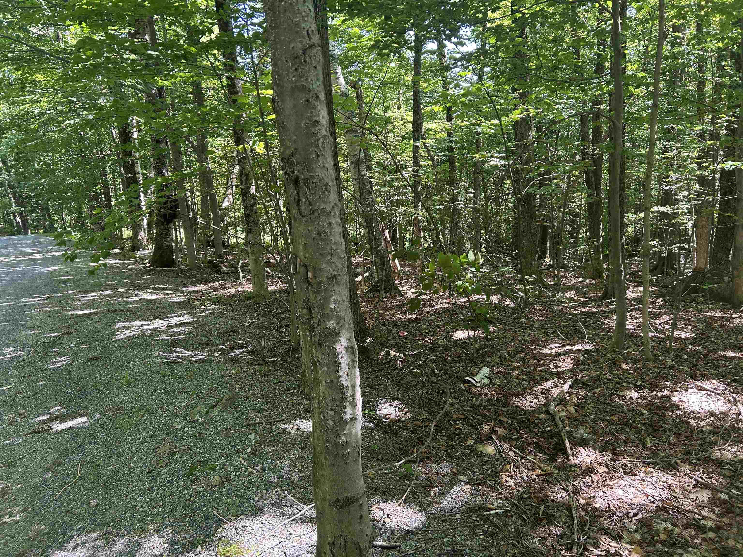 0 Mountain Haunts Property Photo 9
