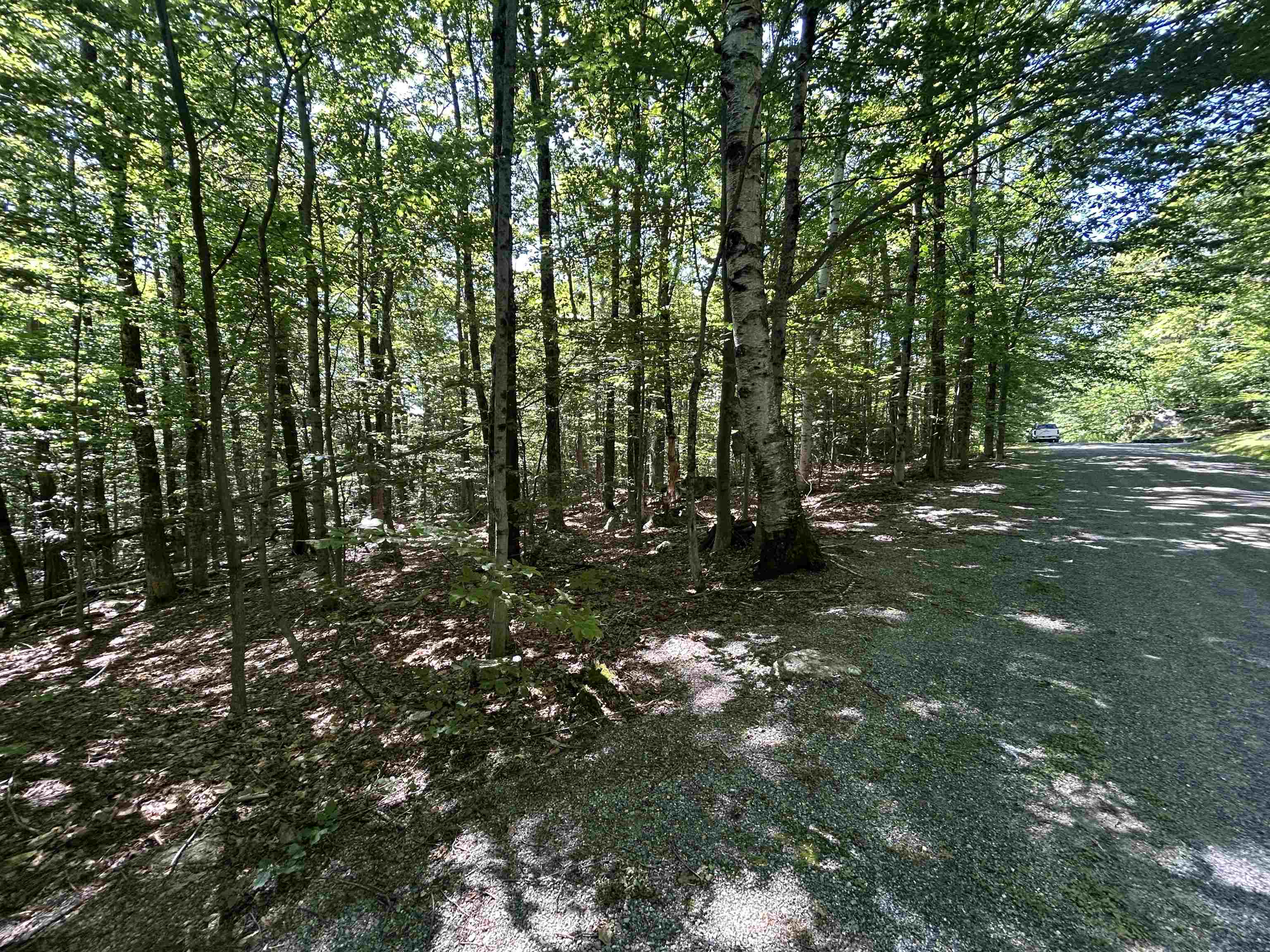 0 Mountain Haunts Property Photo 10