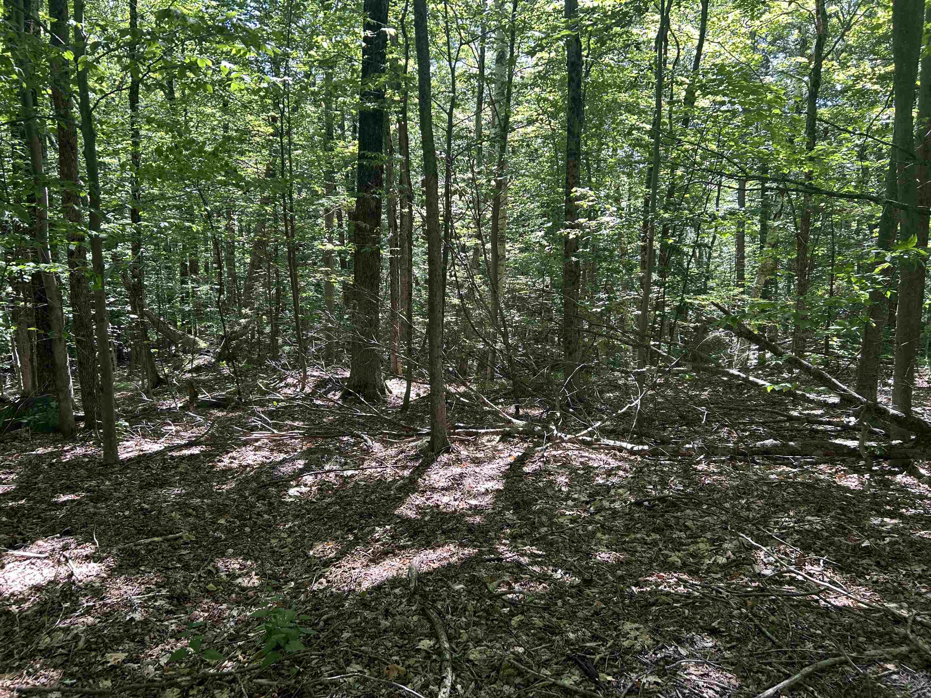 0 Mountain Haunts Property Photo 11